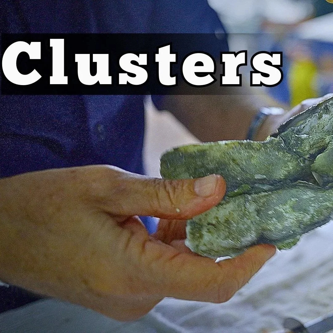 They call them “Clusters”