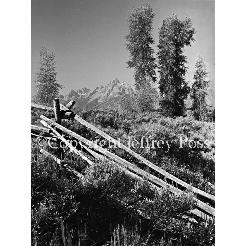 00202GrandTetonFromTheRanch-ForWebsite.jpg