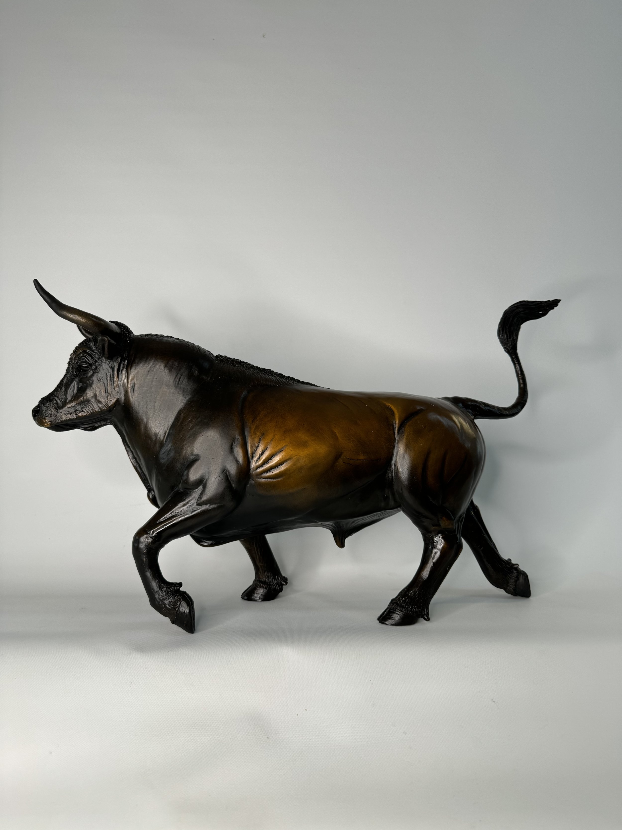 Year of The Bull