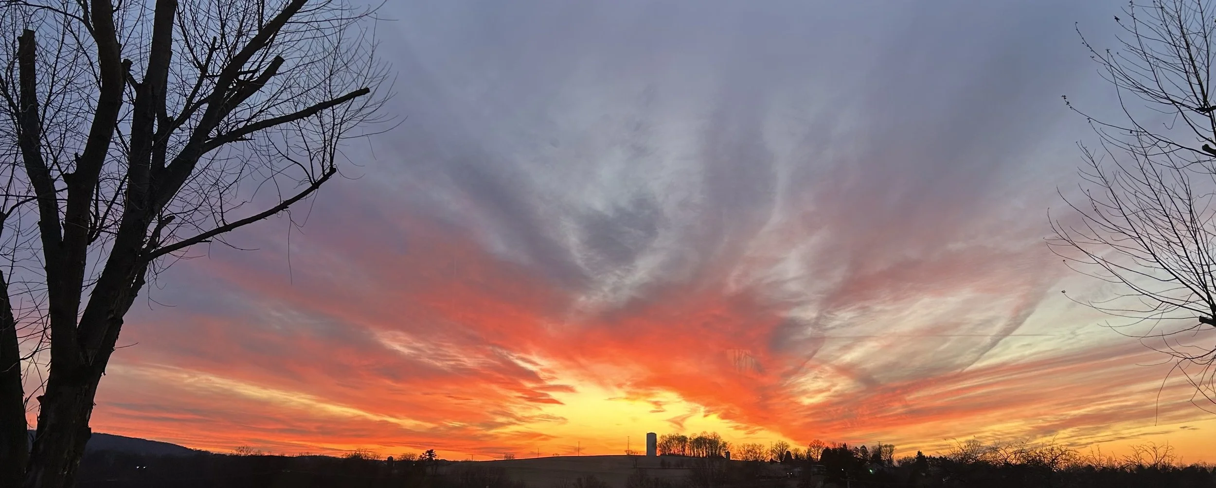 Reflections on the Old Year