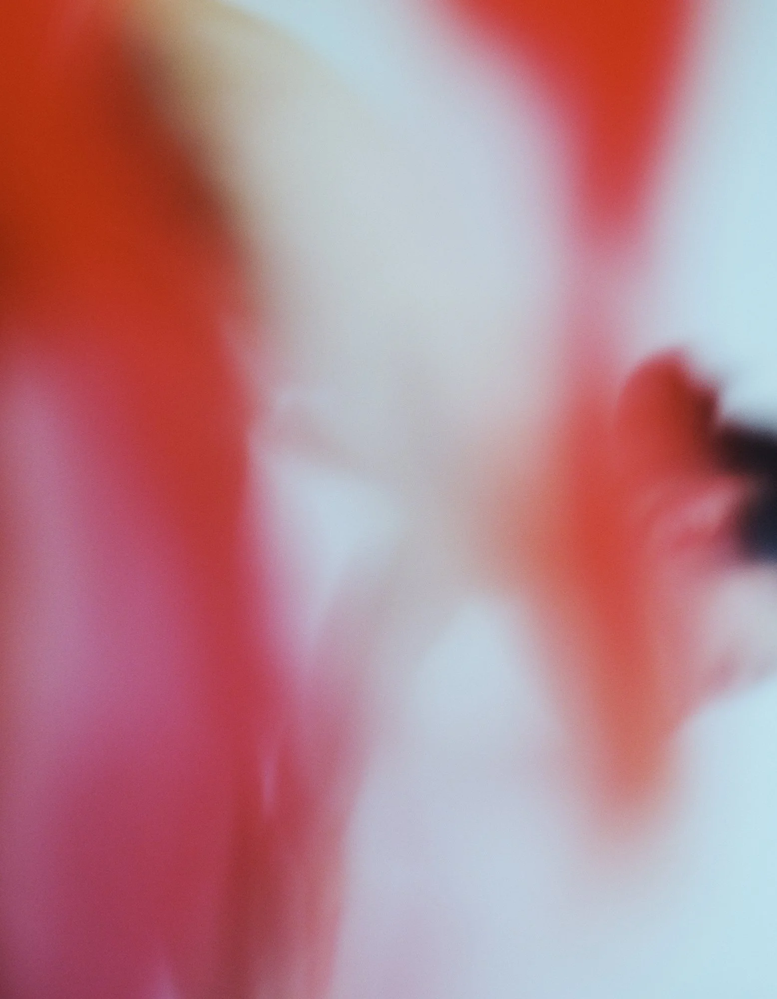 3_250419_0918_V1_QC.jpg