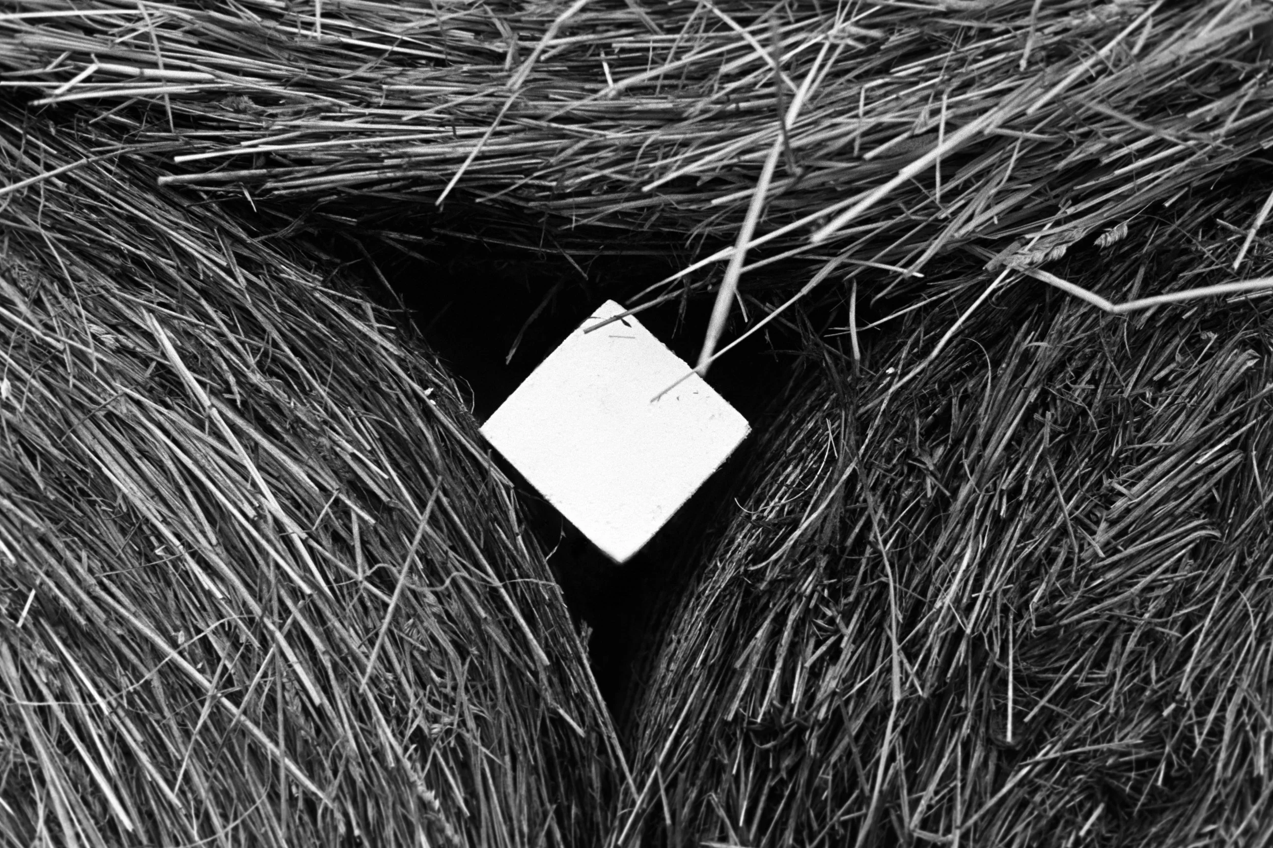 Styrofoam Series 002.jpg