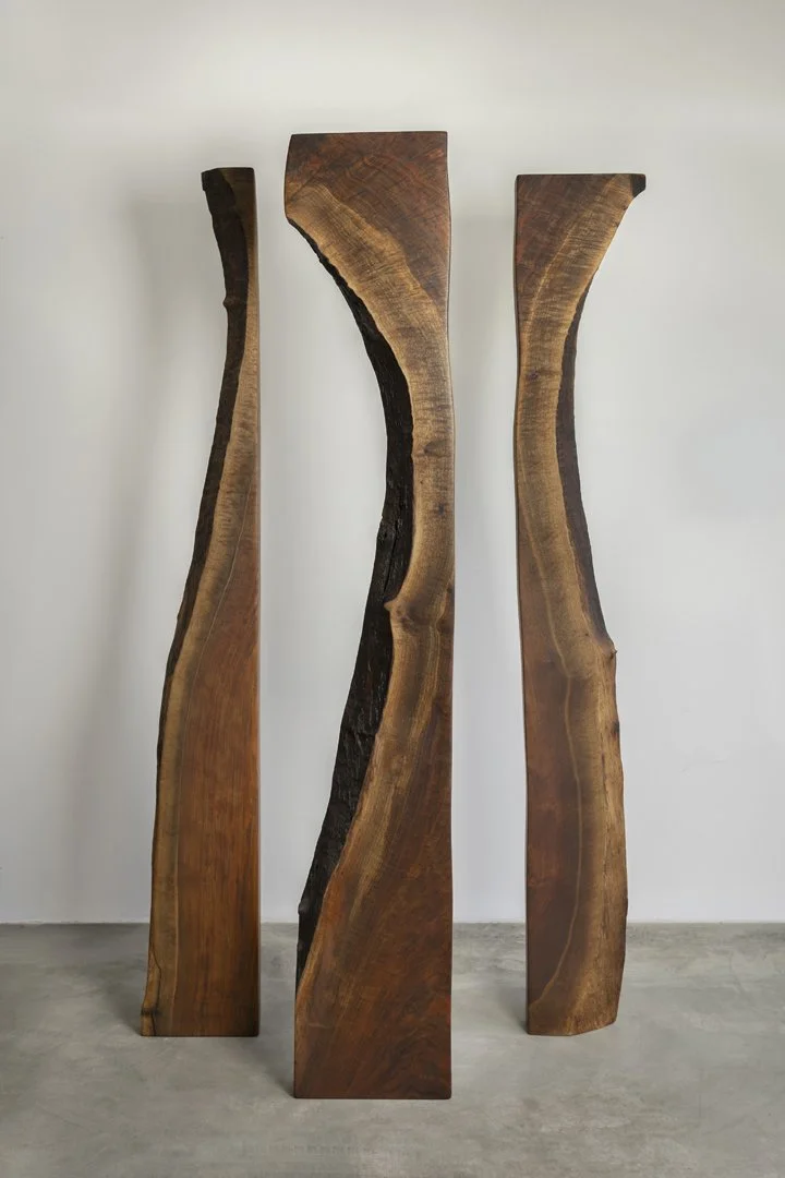 Black Walnut