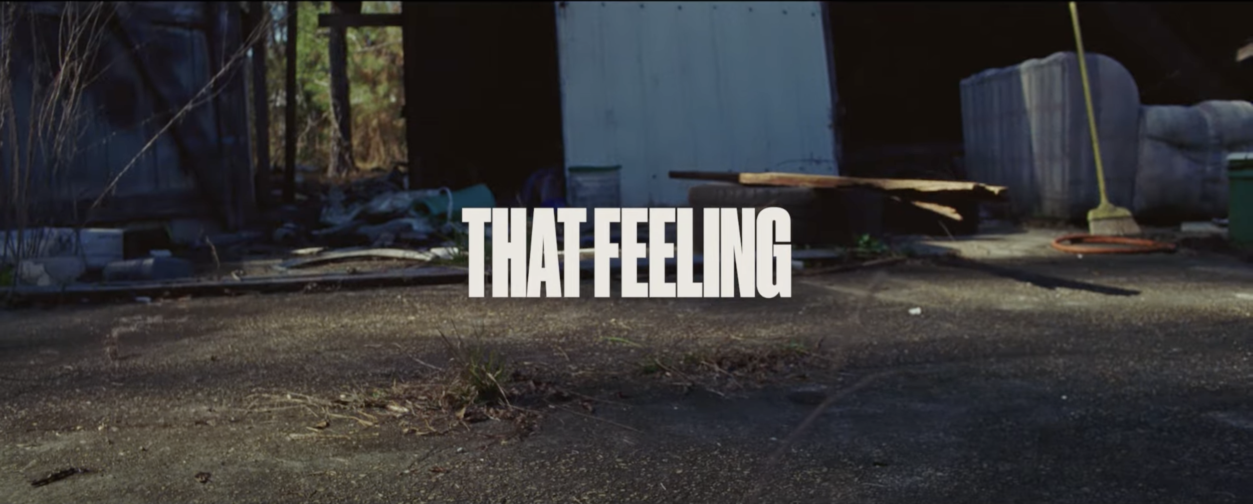 Screen Shot 2024-08-12 at 5.08.11 PM.png