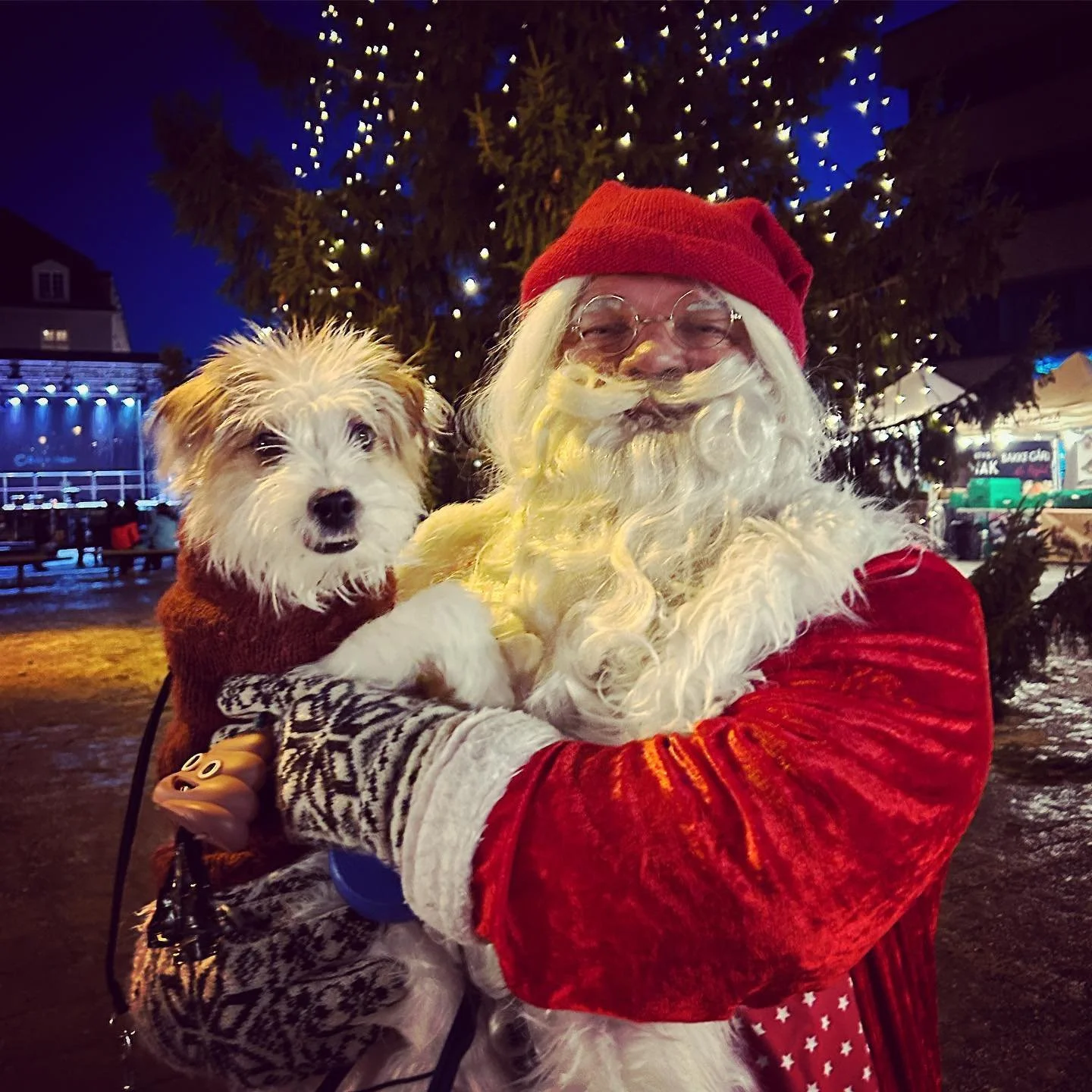Dewey met Santa today. Santa was charmed. 🎄🎅❤️ Check out our song #ChristmasLights (The Oldhouse) on Spotify if you&rsquo;re feeling as Christmassy as H&oslash;nefoss today 🎶 #linkinbio