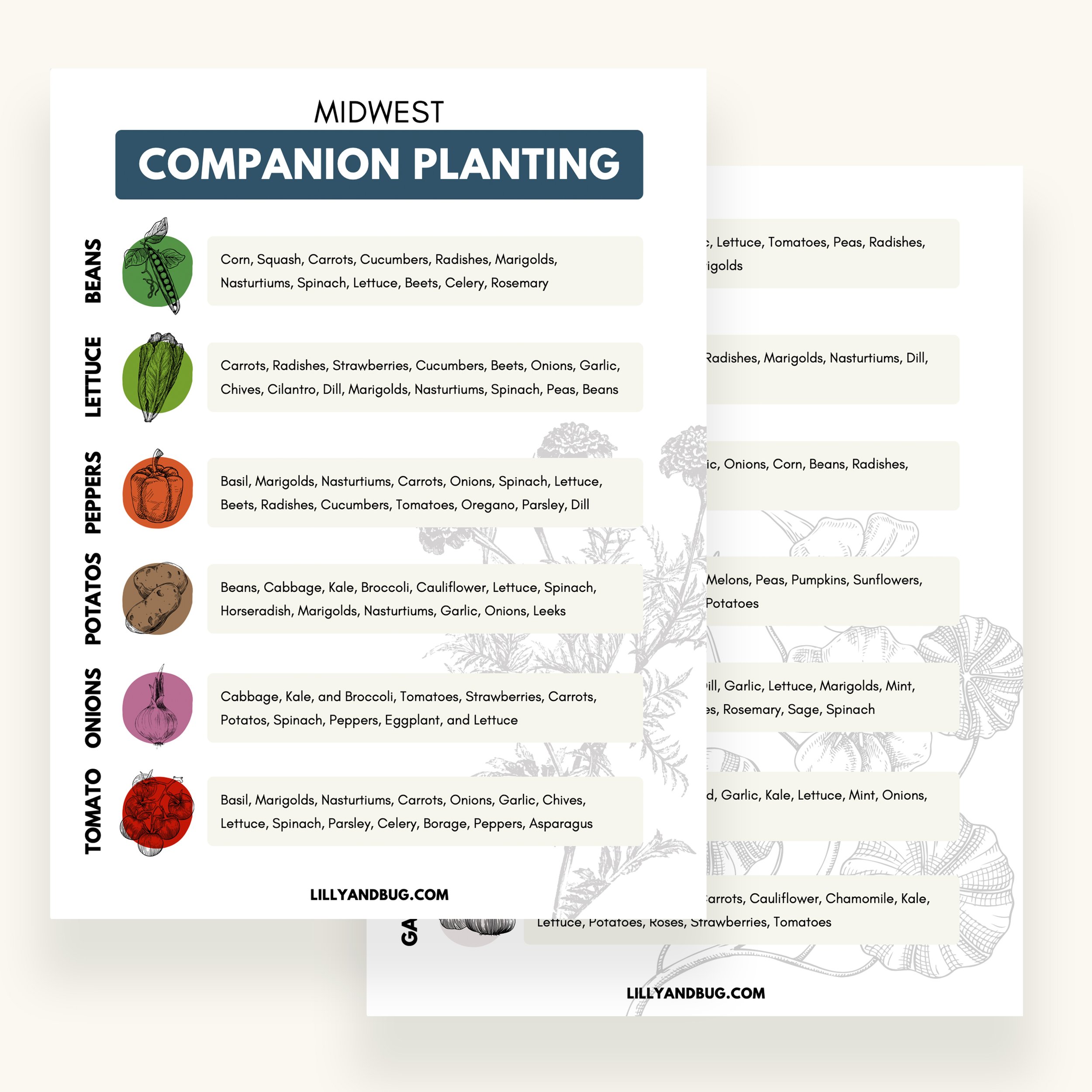 Printable Companion Planting Chart For Midwest Gardeners