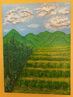 Vineyards