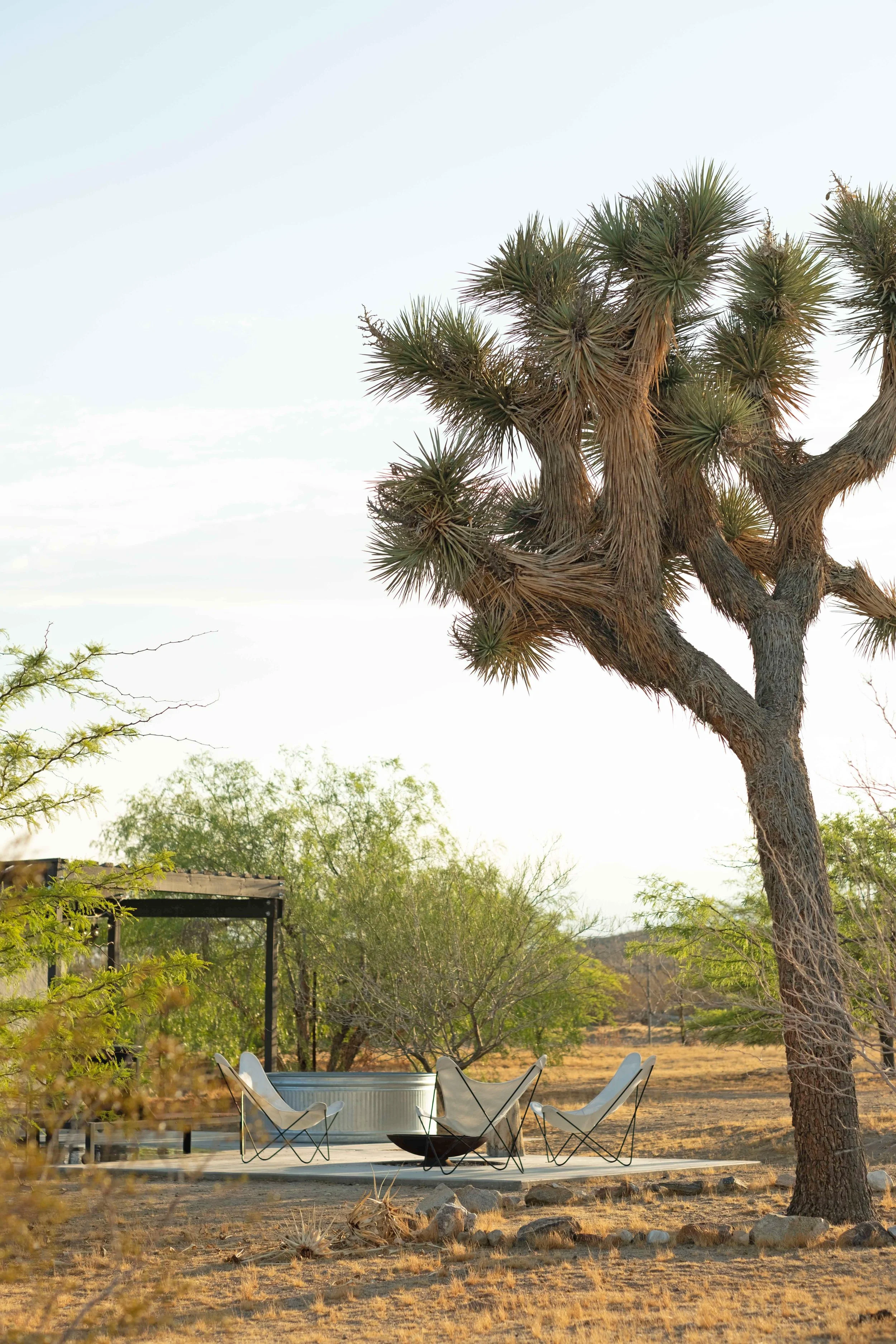 2024_08_OcotilloDesertHouse-7615.jpg