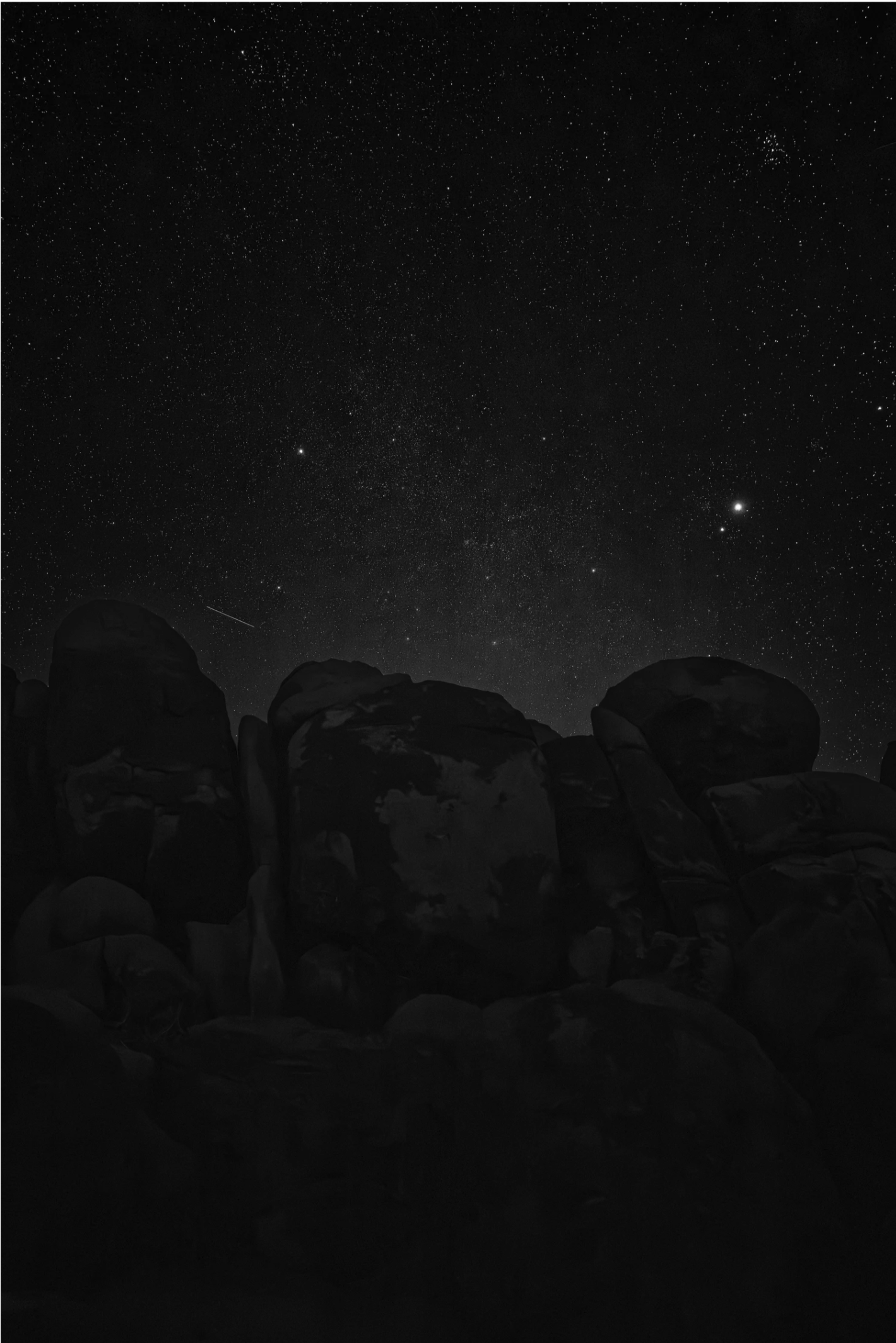 Screen Shot 2025-08-21 at 8.48.25 AM.png