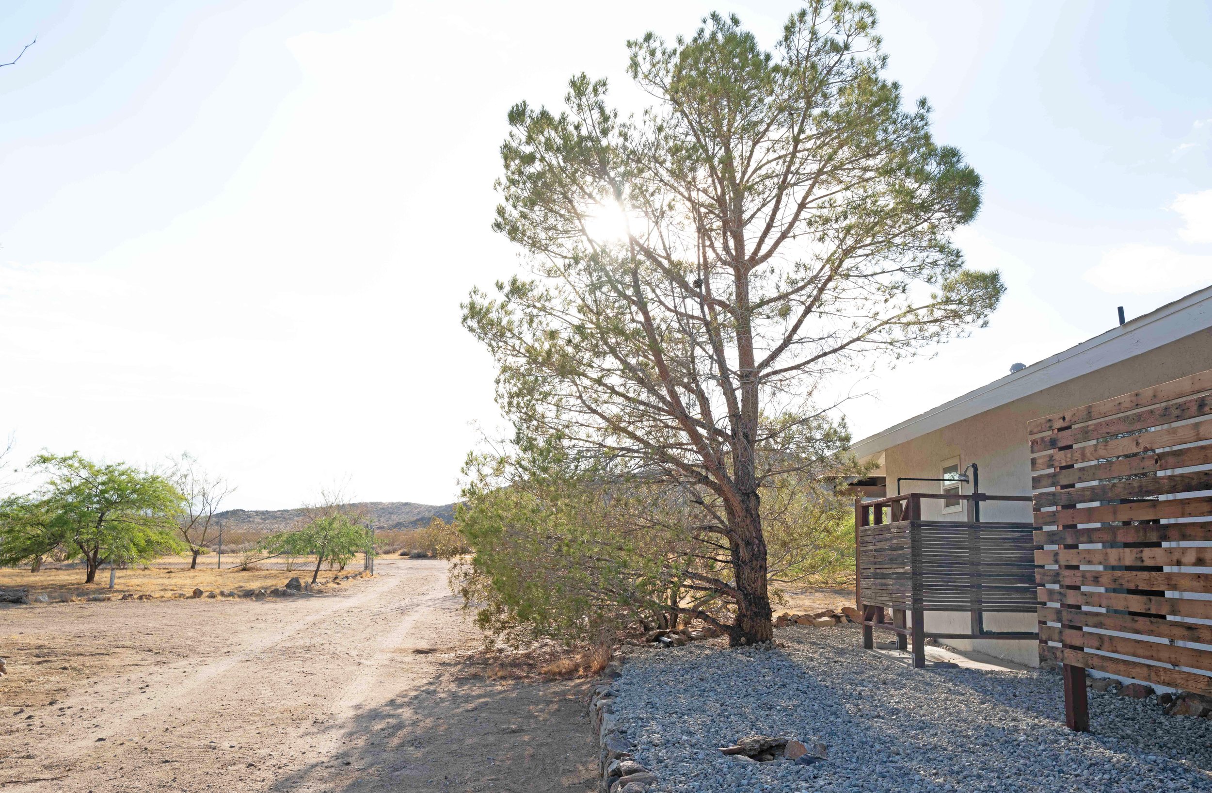 2024_08_OcotilloDesertHouse-1010588.jpg