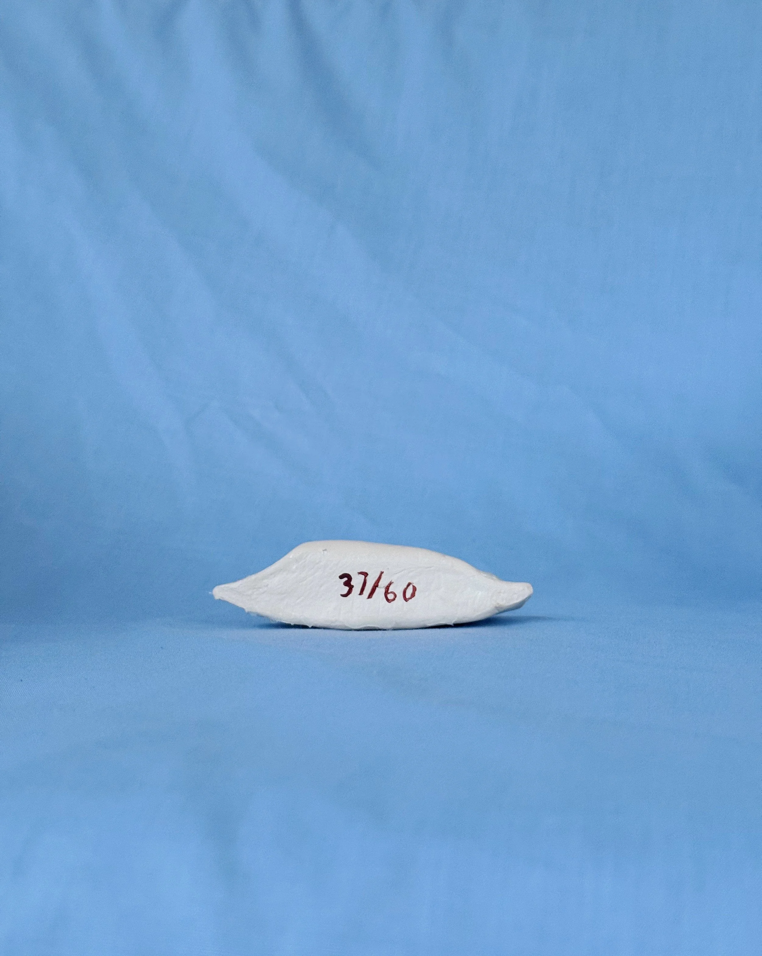 ACS_8002.JPG
