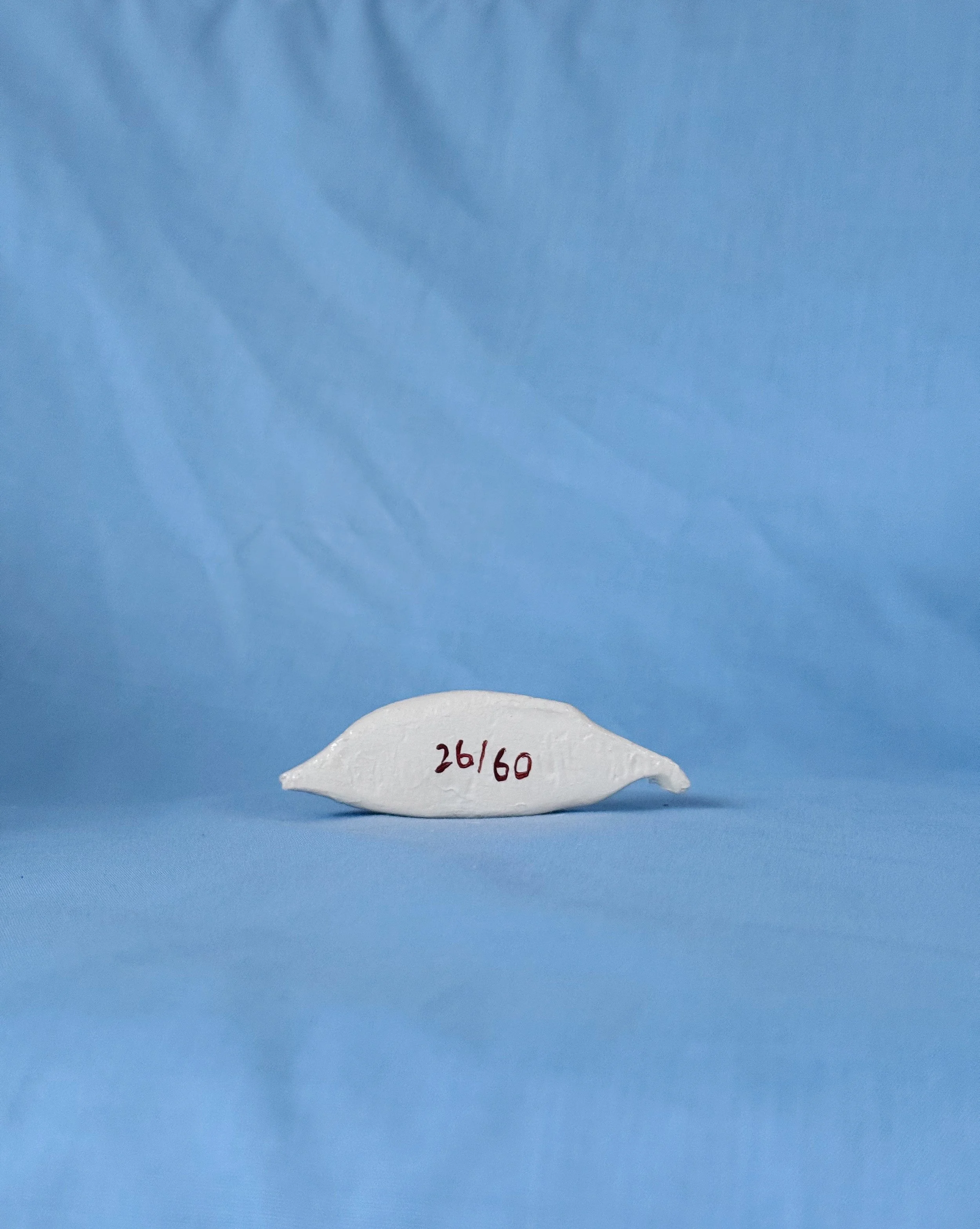 ACS_7976.JPG