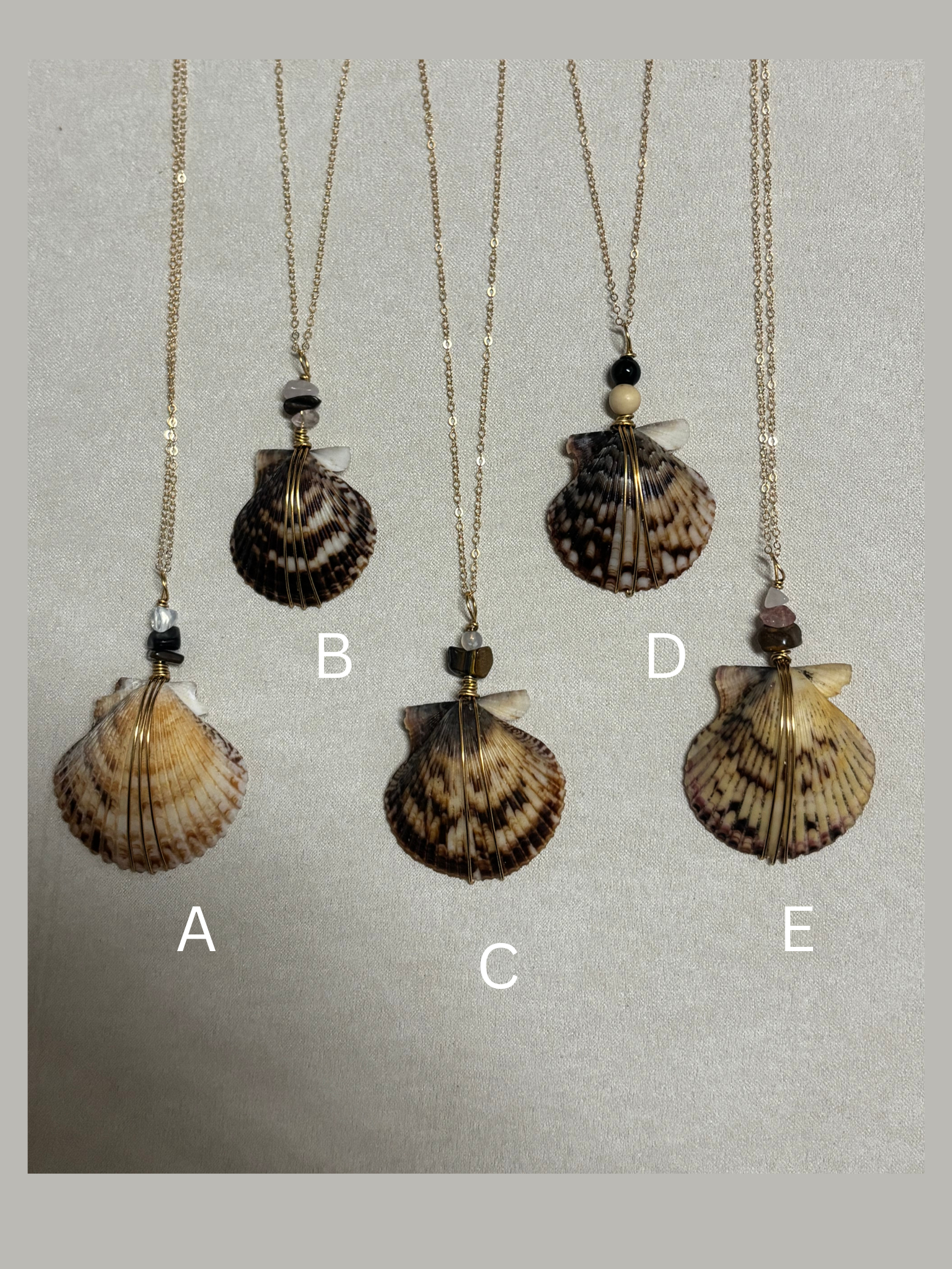 Mission Bay Spotted Shell Necklace