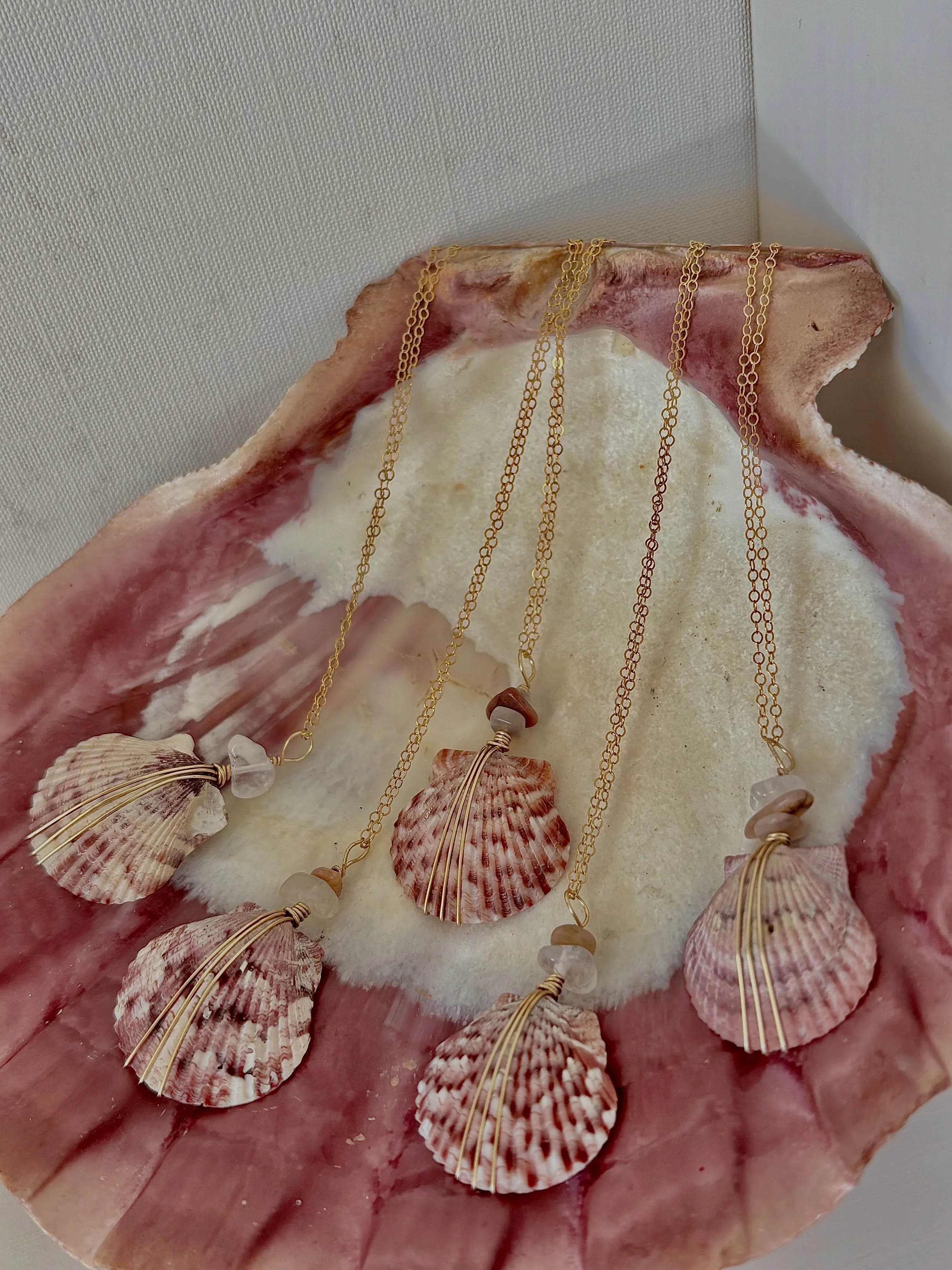 The Floridian Shell Necklace