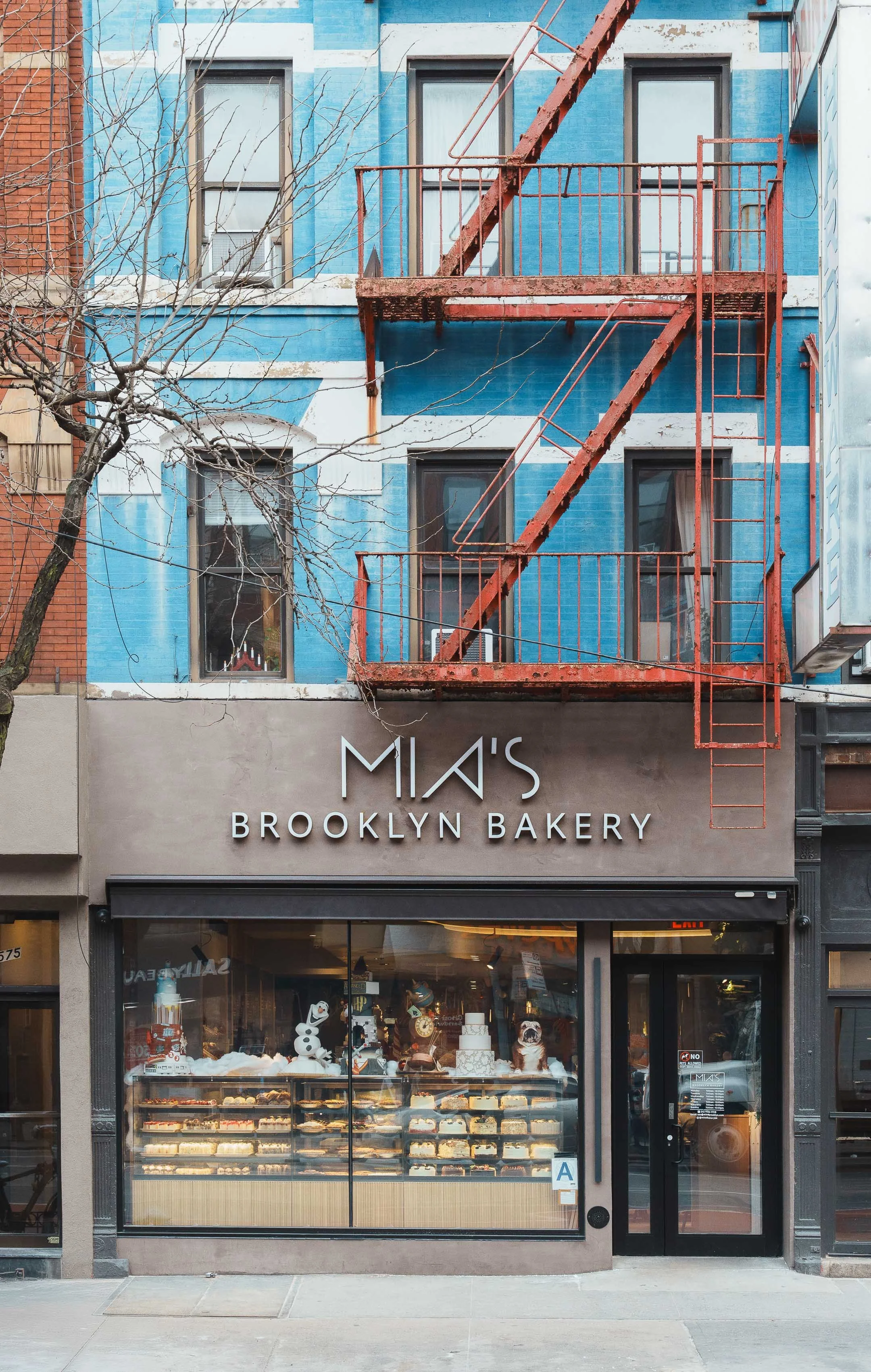 Mia's Brooklyn Bakery_WebRes.jpg