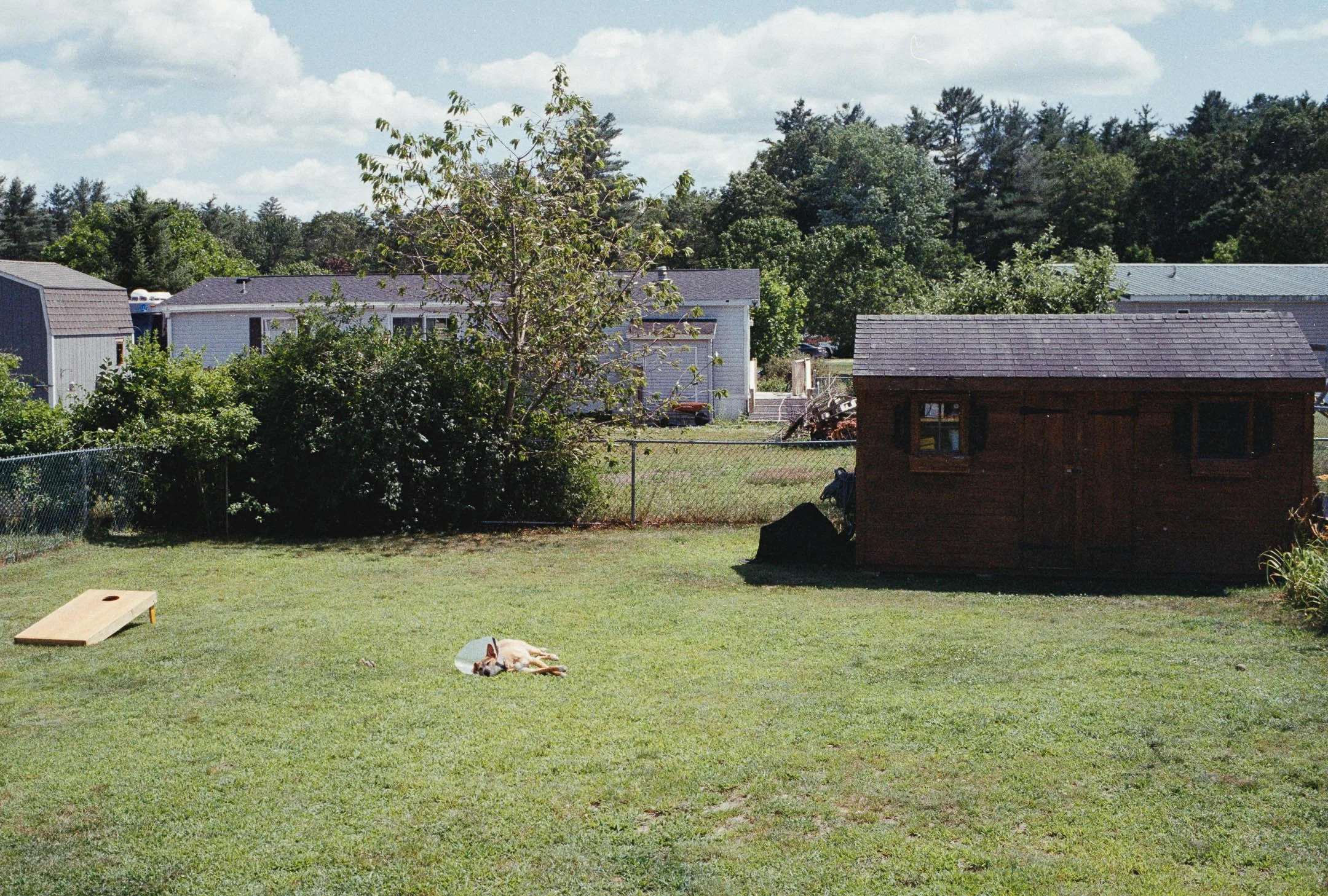 negatives (6)-instagram.JPG