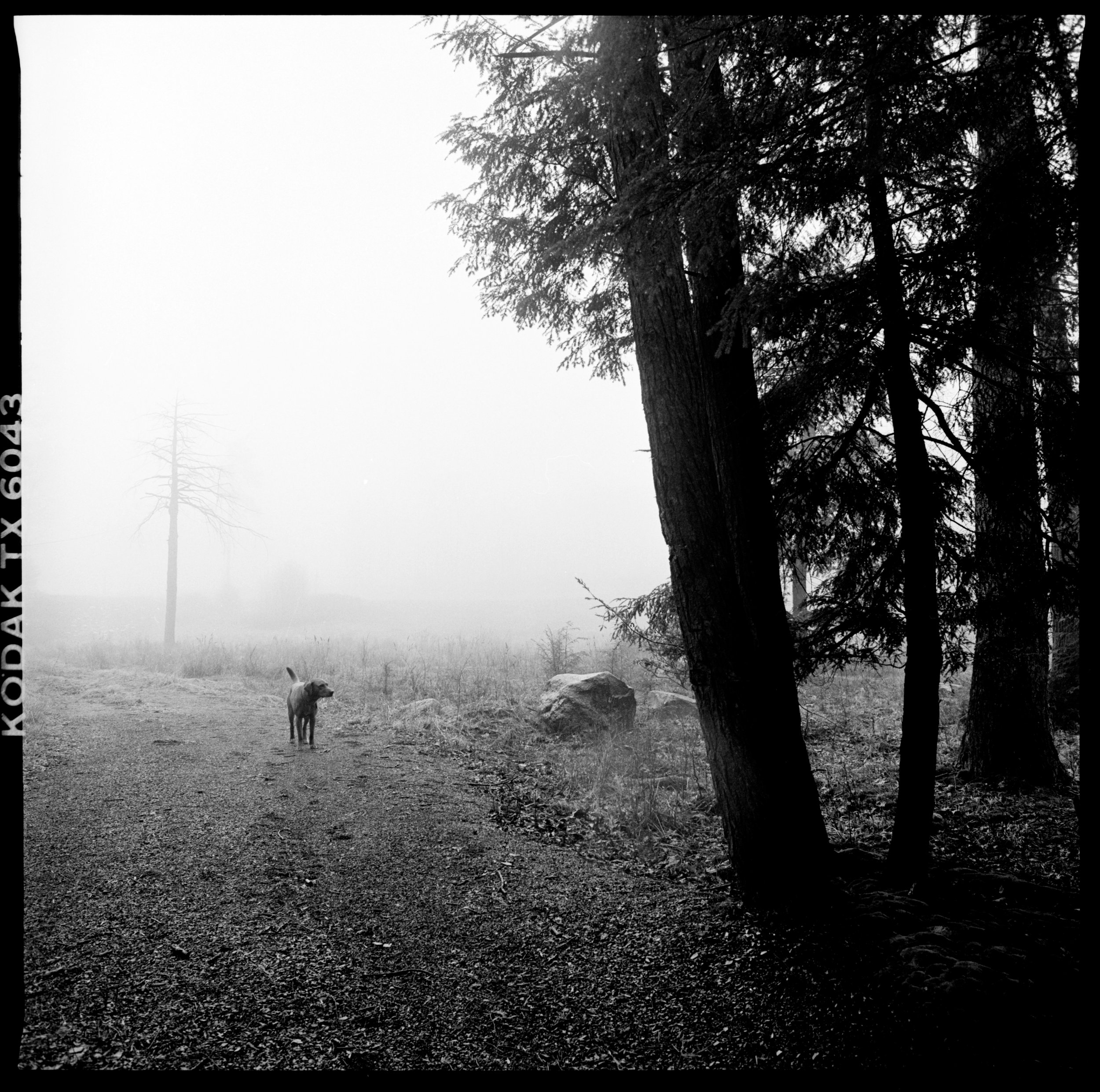 minnewaska (4).jpg