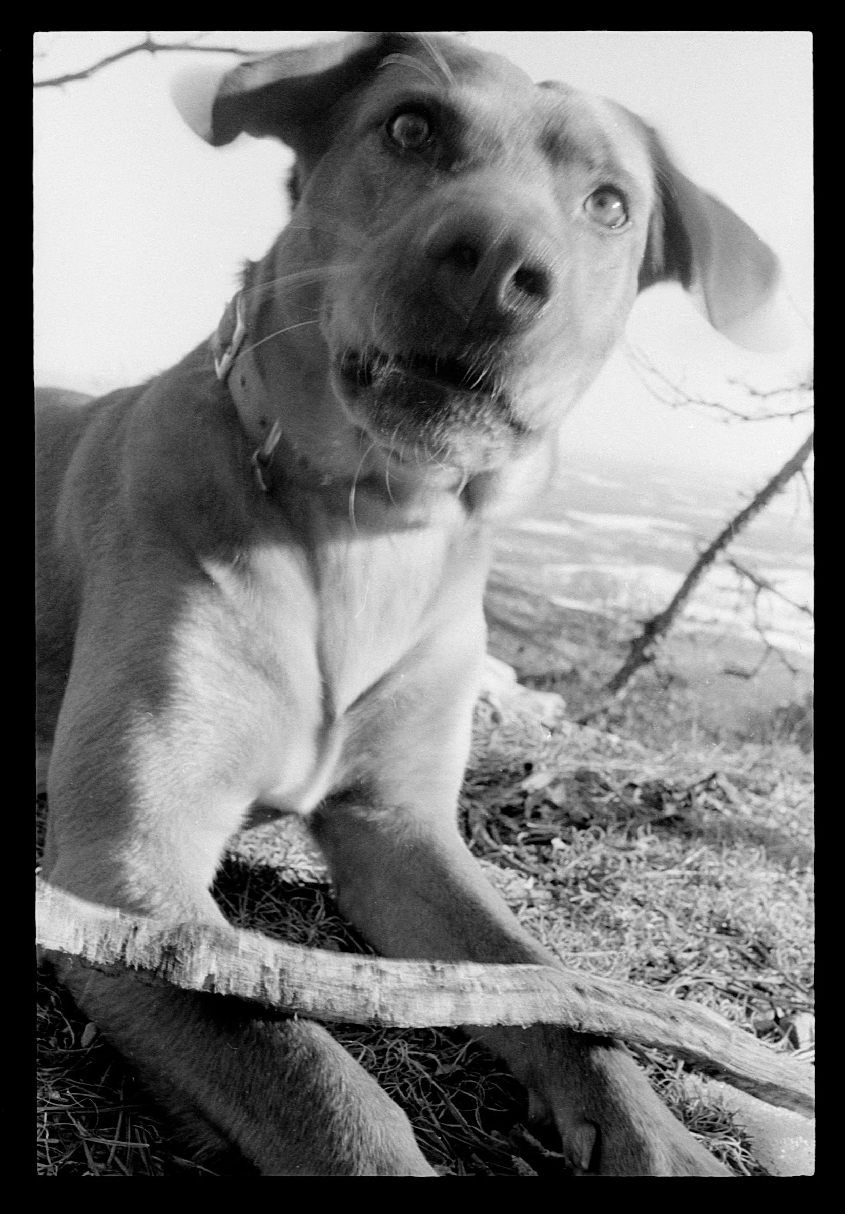 tobi (27) copy.jpg
