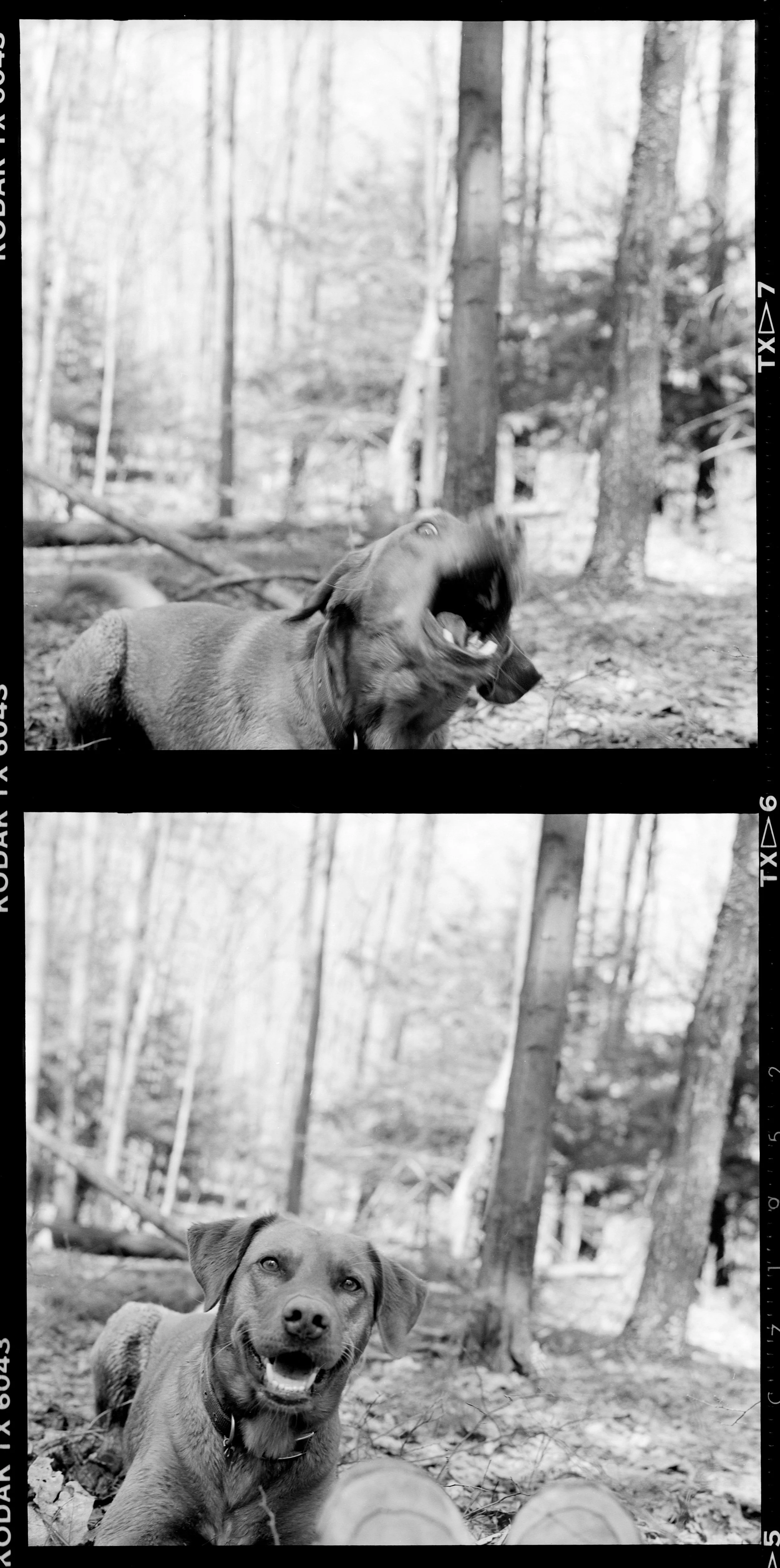 tobi (43).jpg