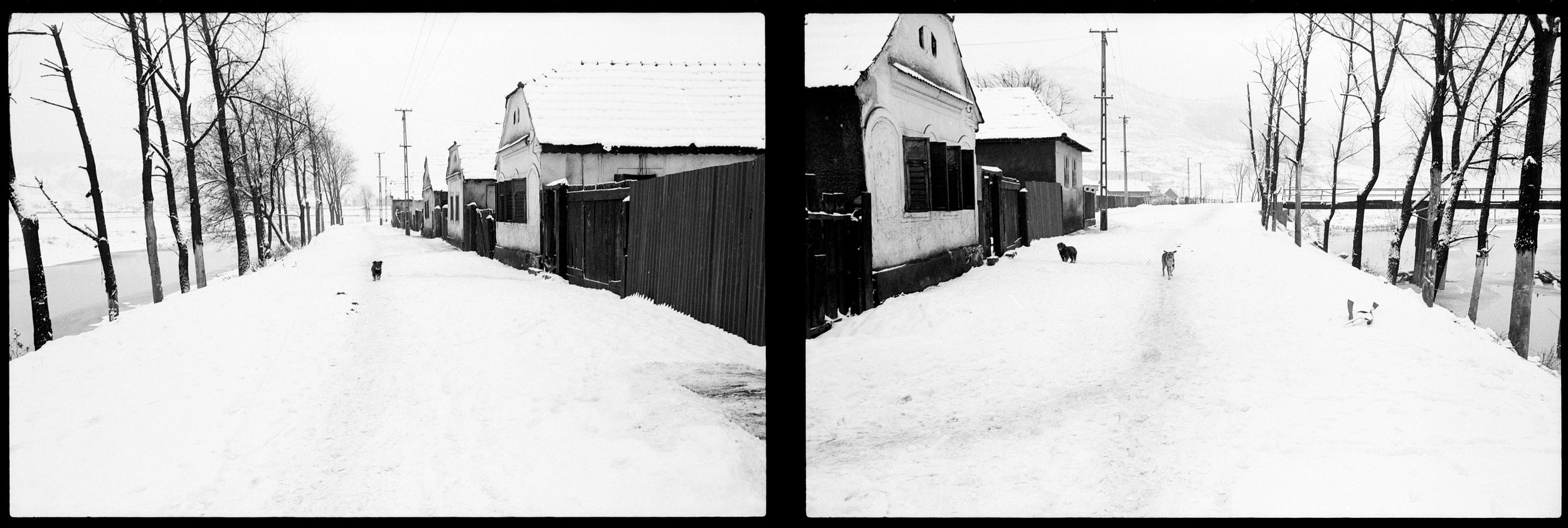 Image 5 copy copy.jpg