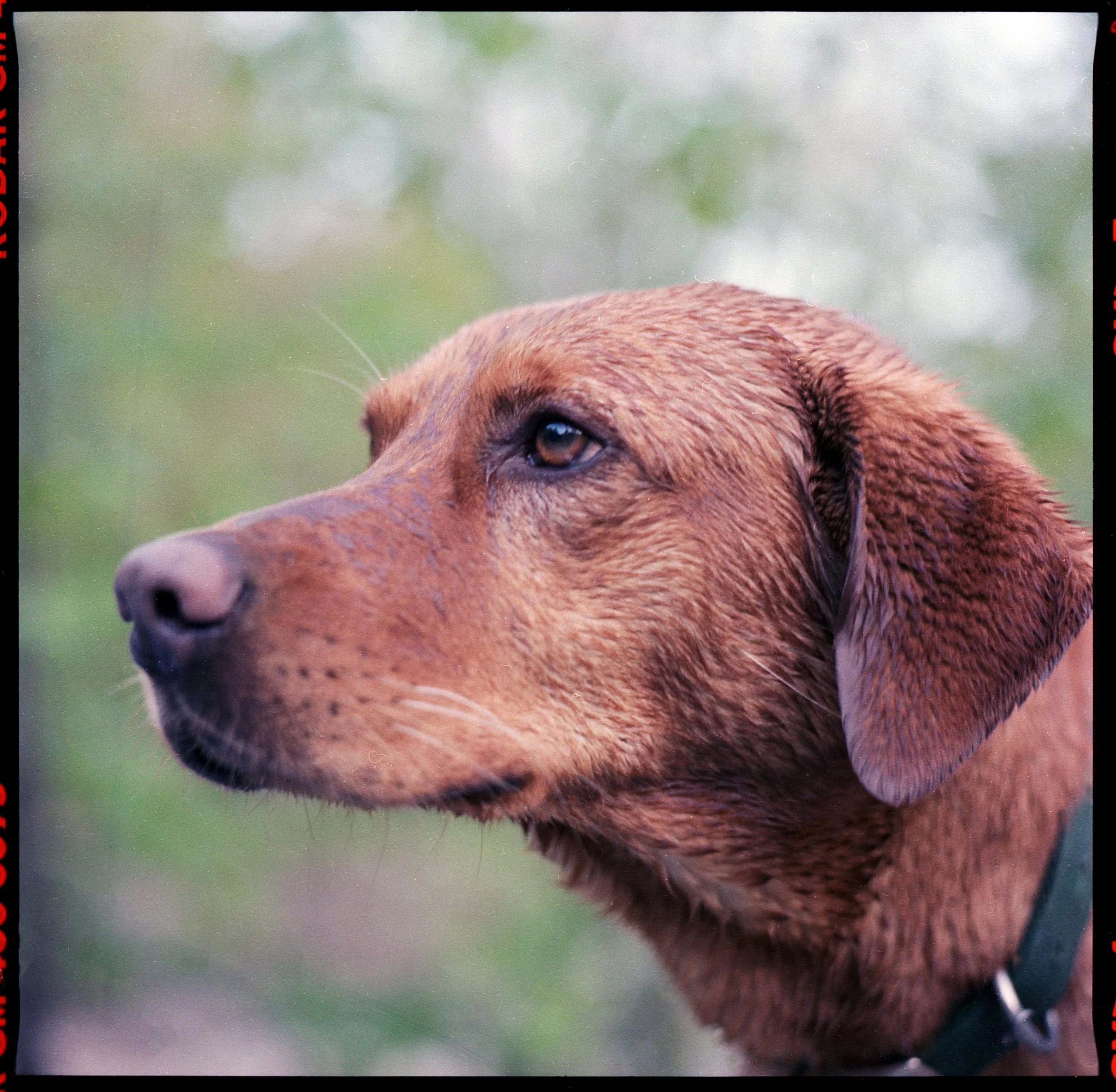 tobi (56).jpg