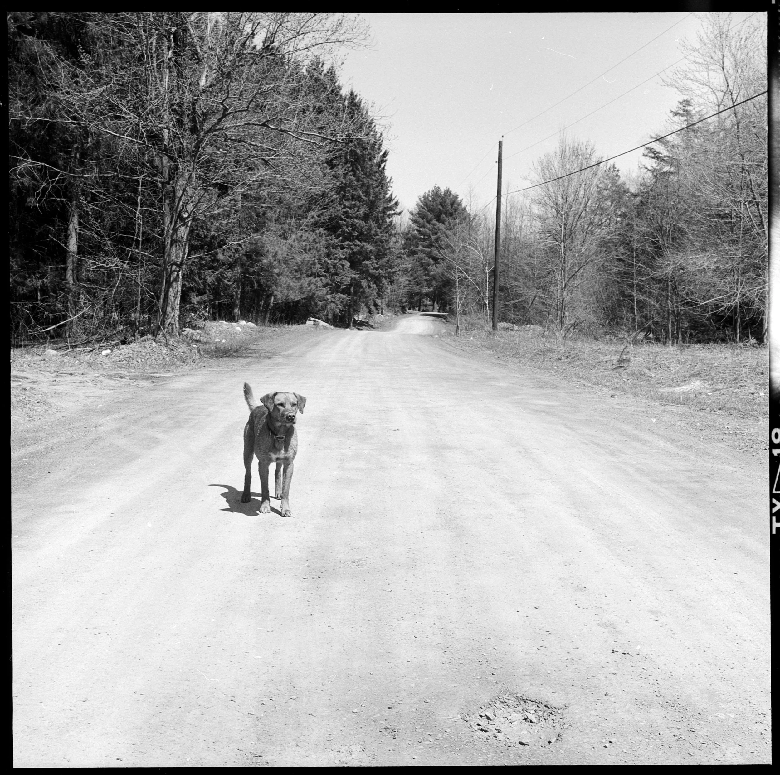 tobi (9).jpg
