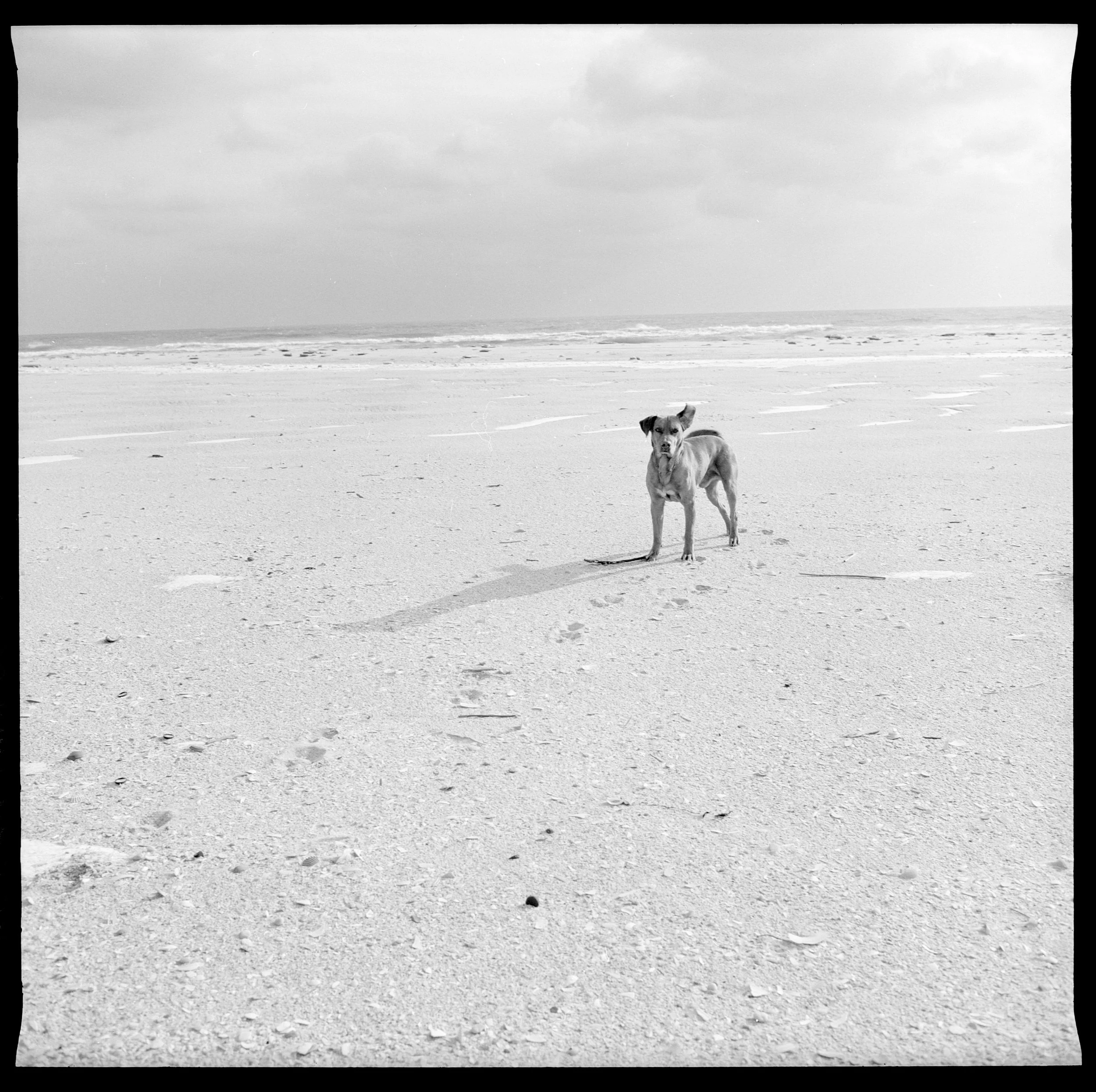 tobi (40) copy.jpg