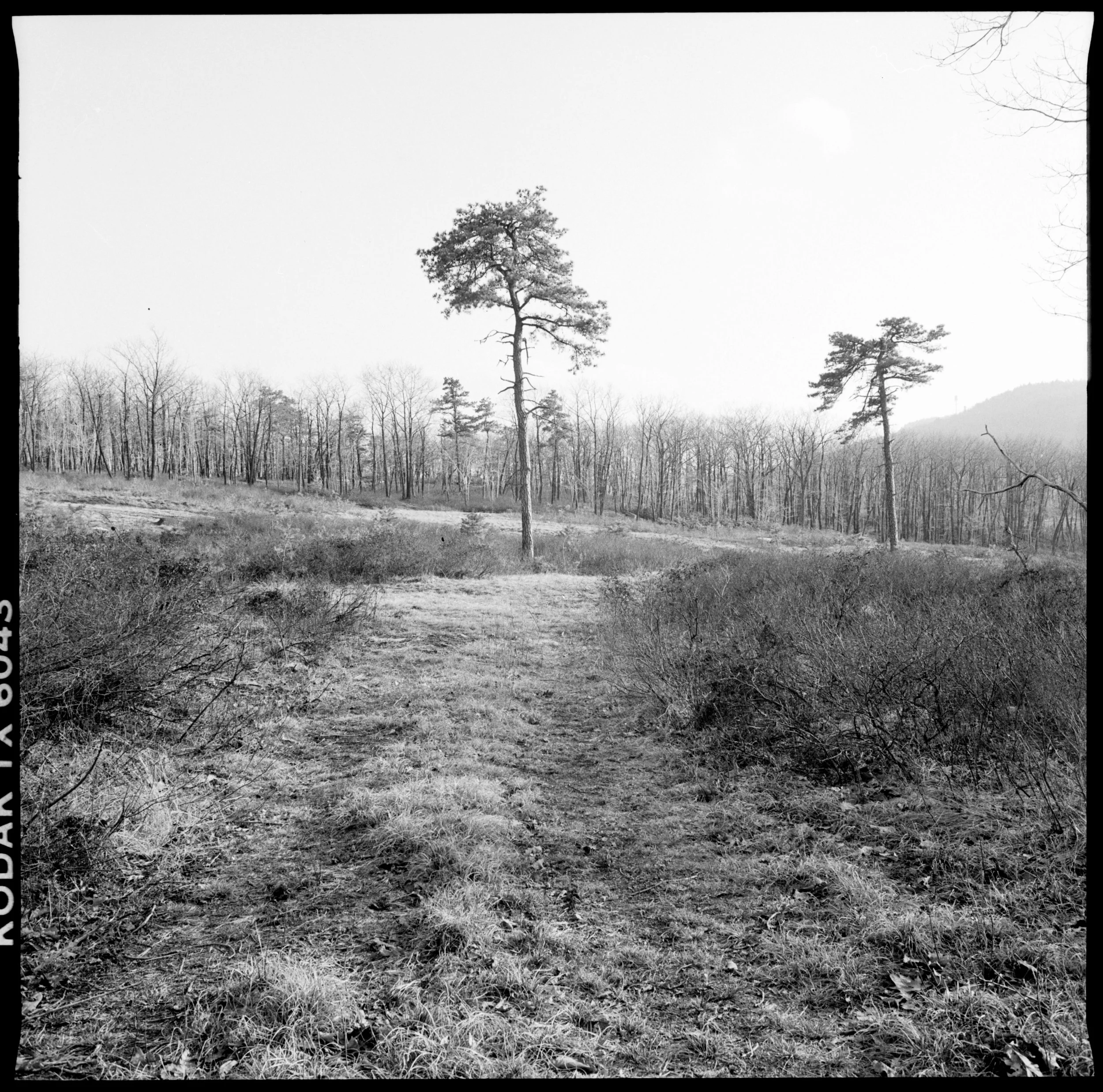 minnewaska18 (2).jpeg