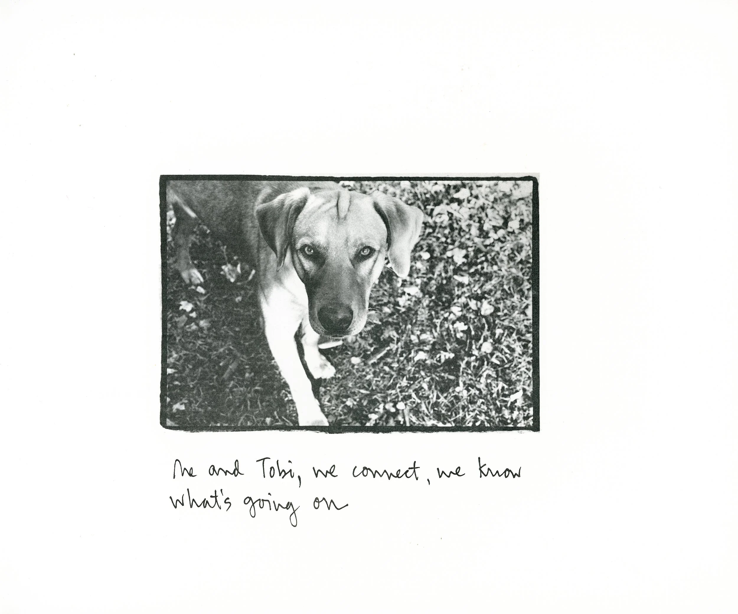 A page from Elizabeth's book