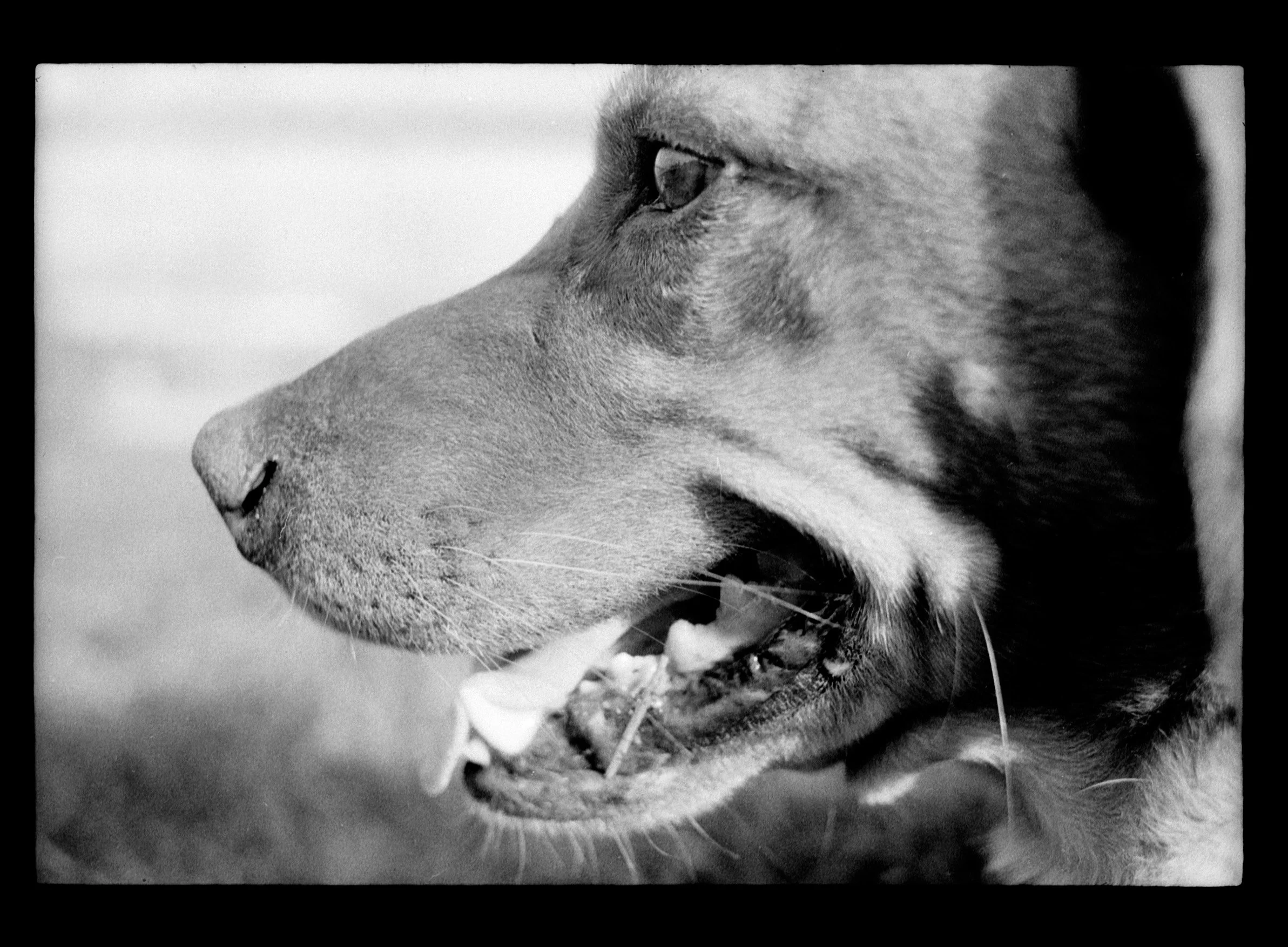 tobi (62) copy.jpg