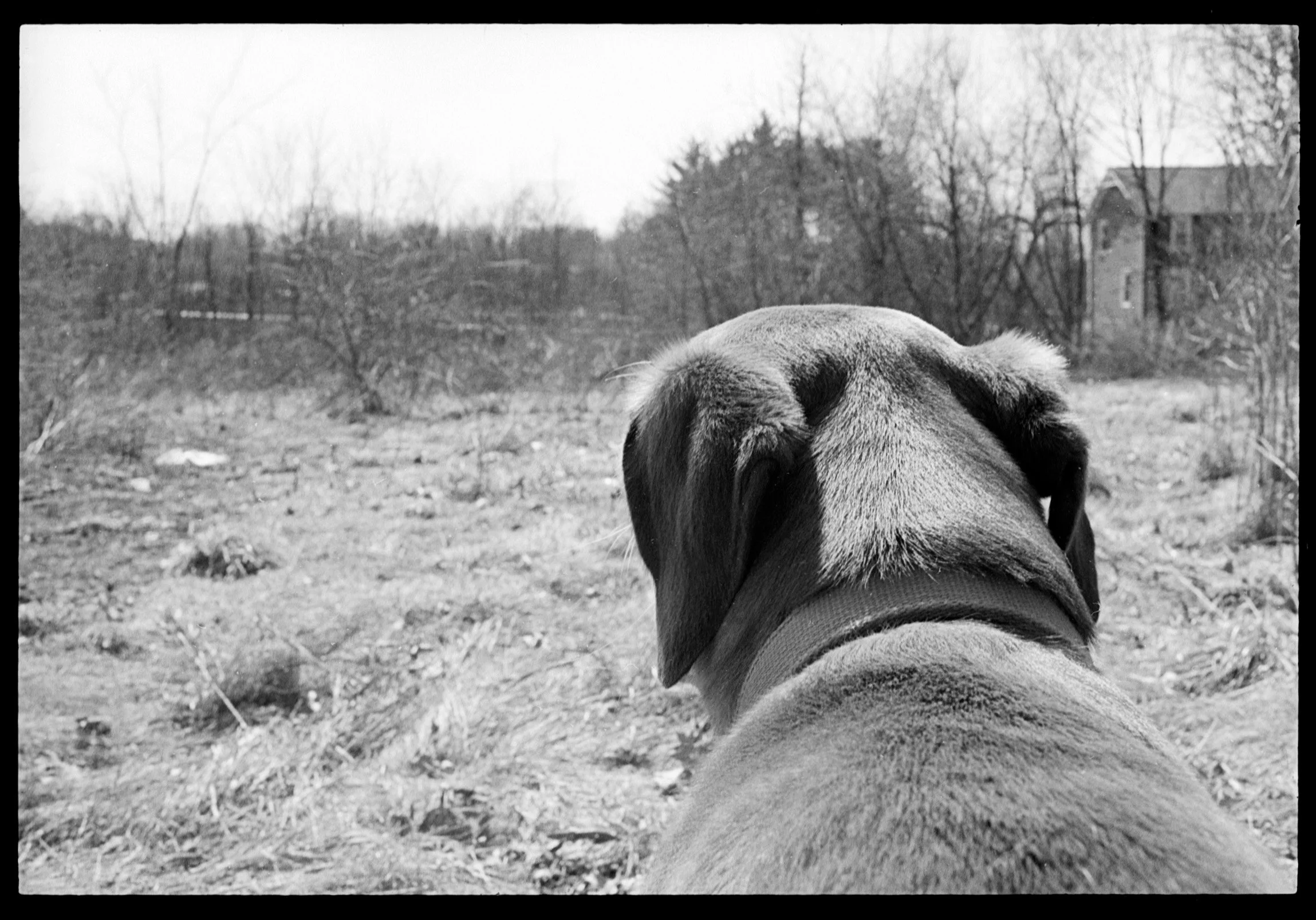 tobi (13).jpg