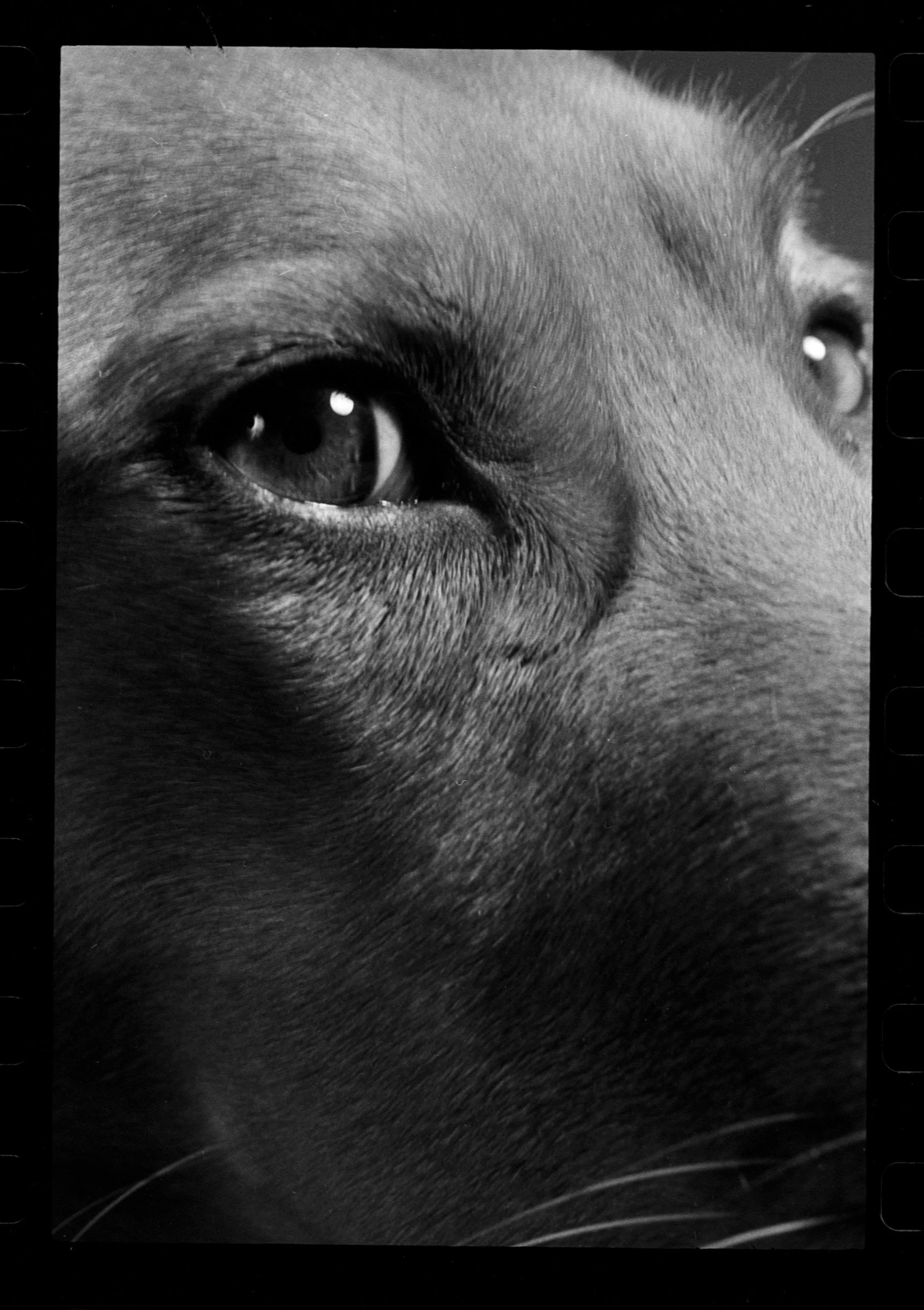 tobi (44).jpg