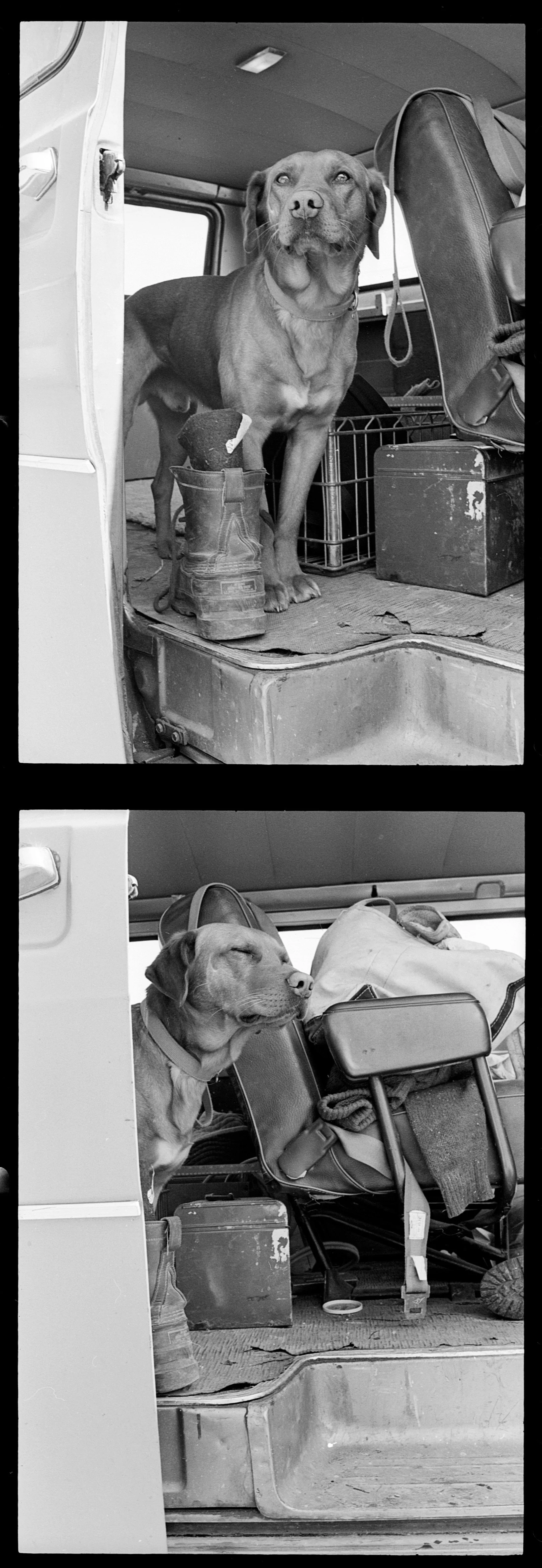 tobi (23) copy.jpg
