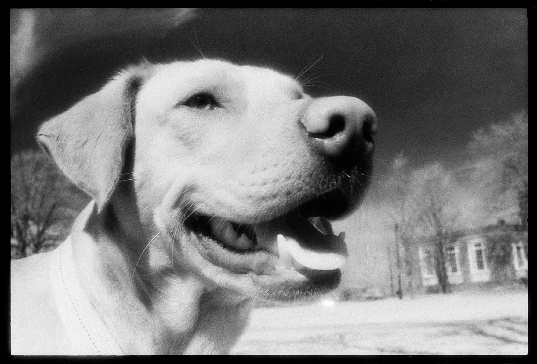 Tobi