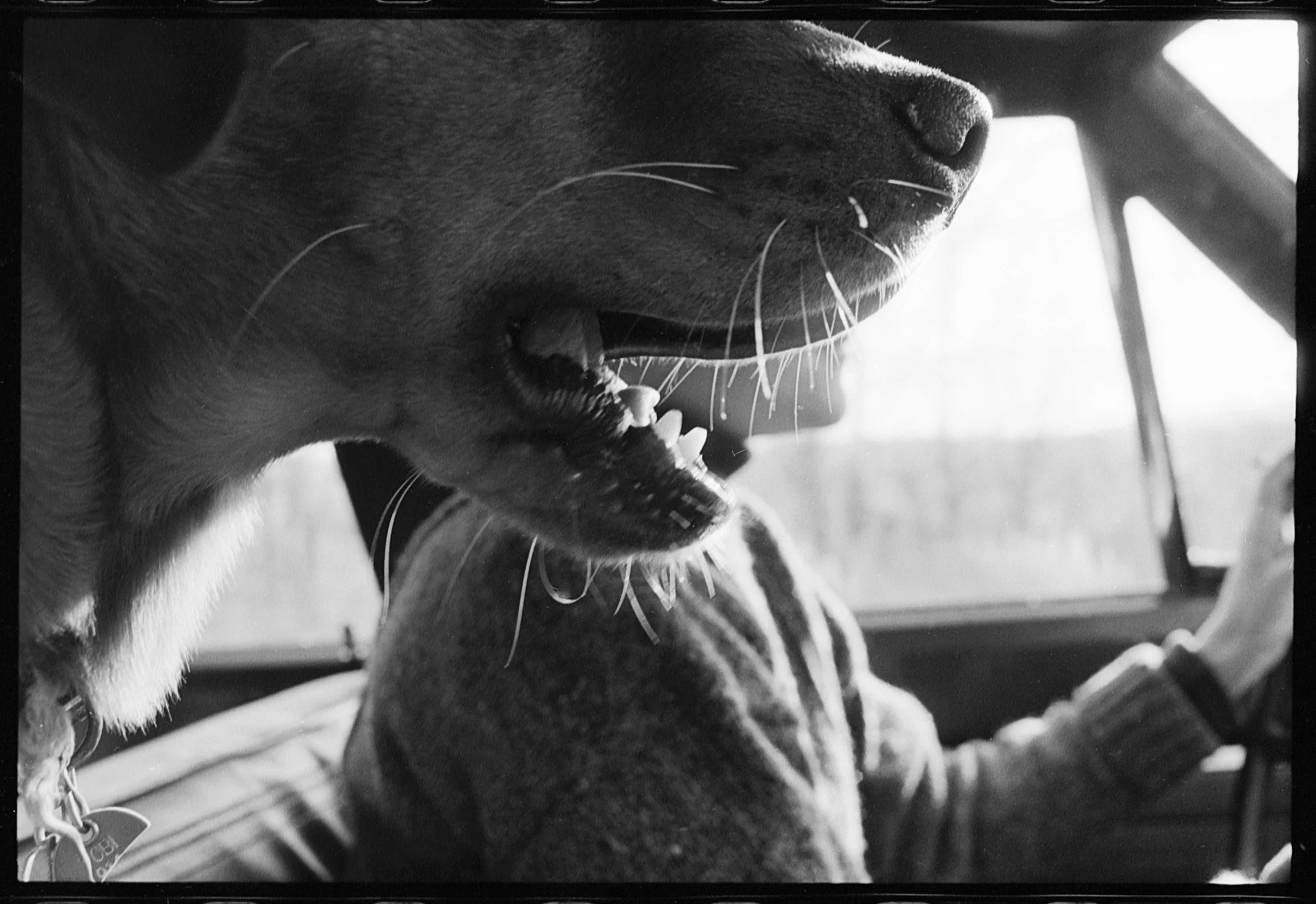 tobi (7) copy.jpg
