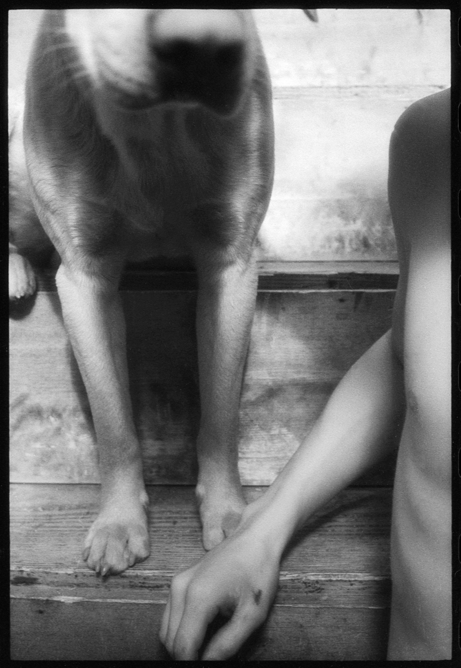 tobi (17).jpg