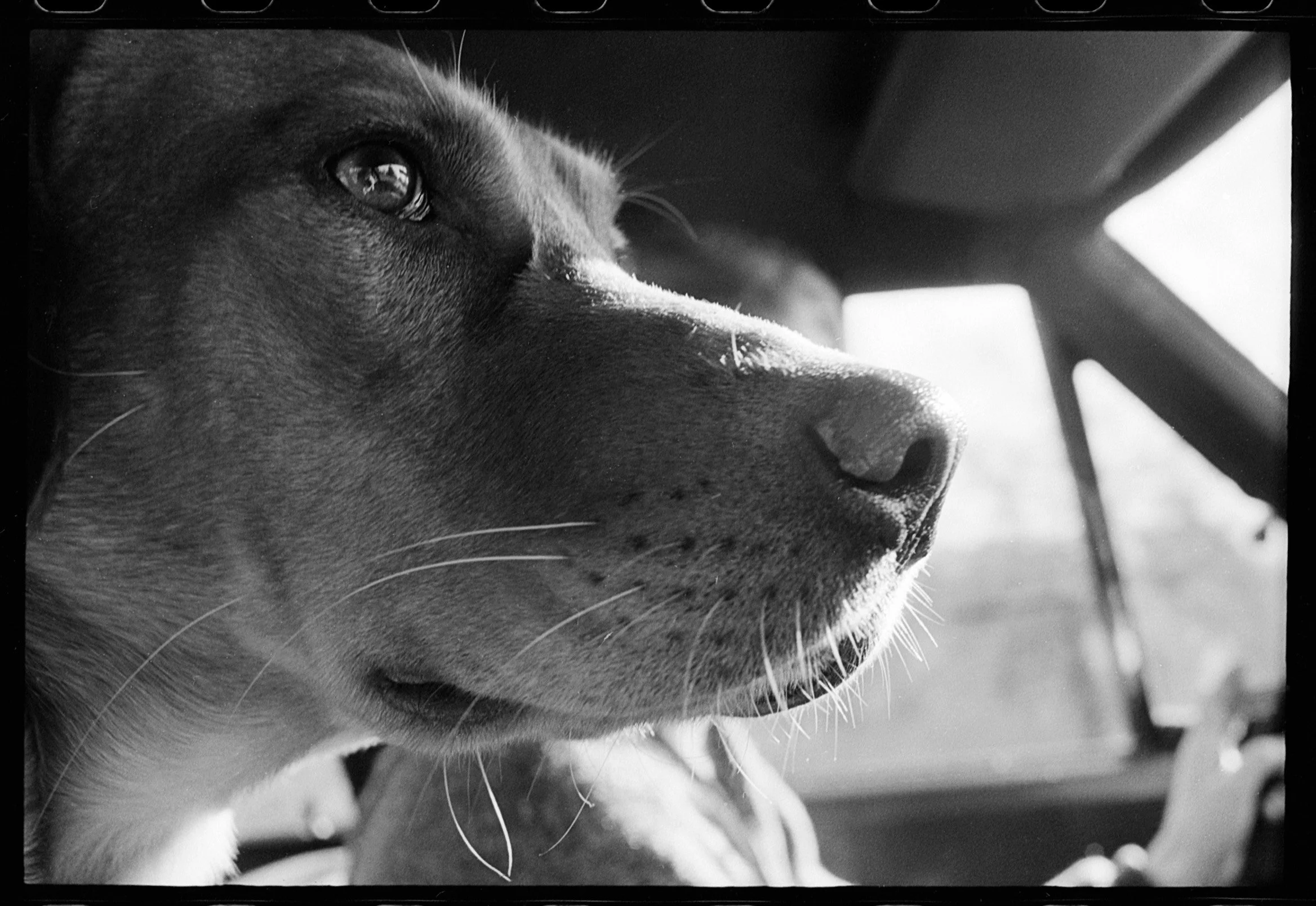 tobi (7).jpg