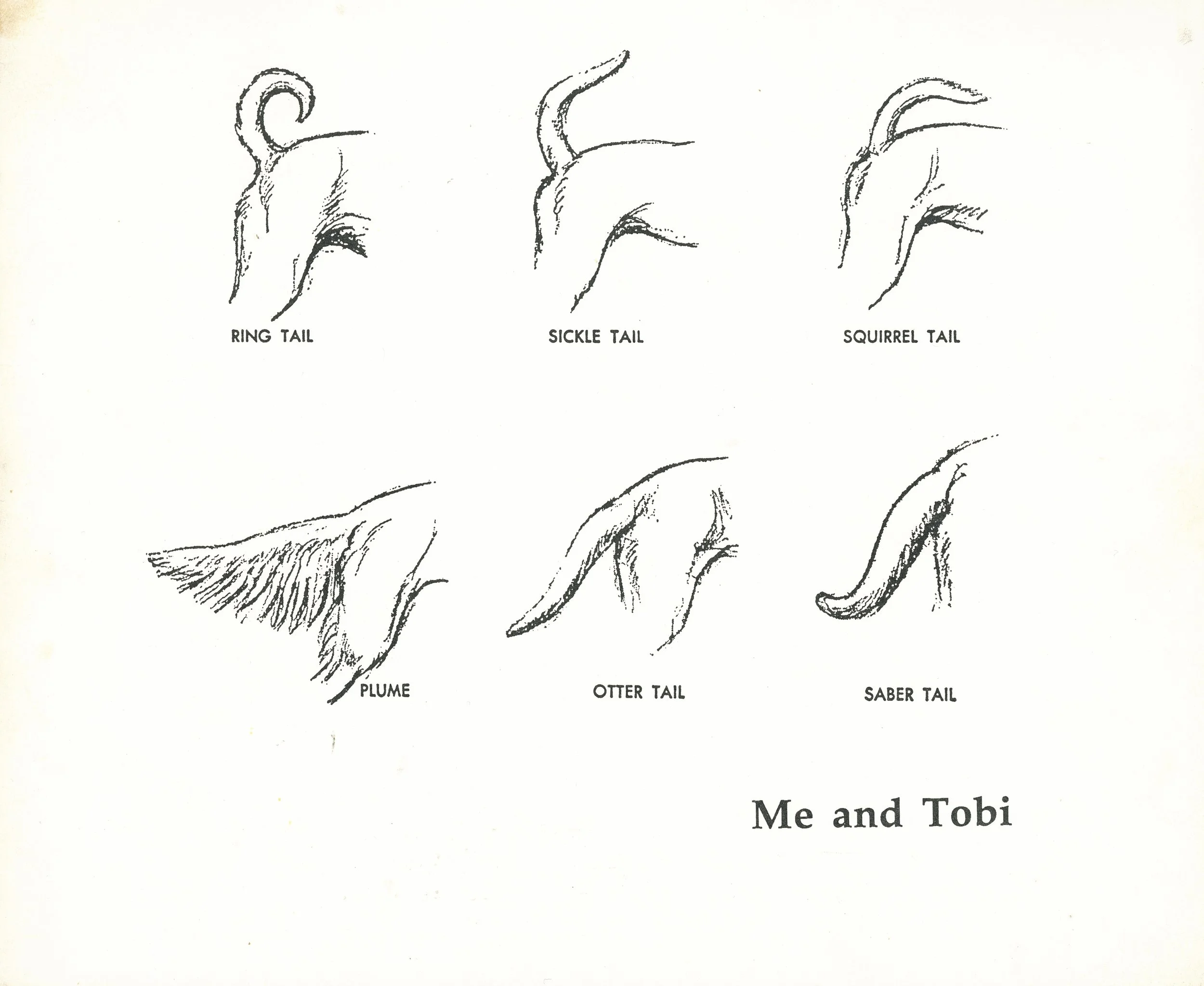 Eizabeth McDade's book about her and Tobi
