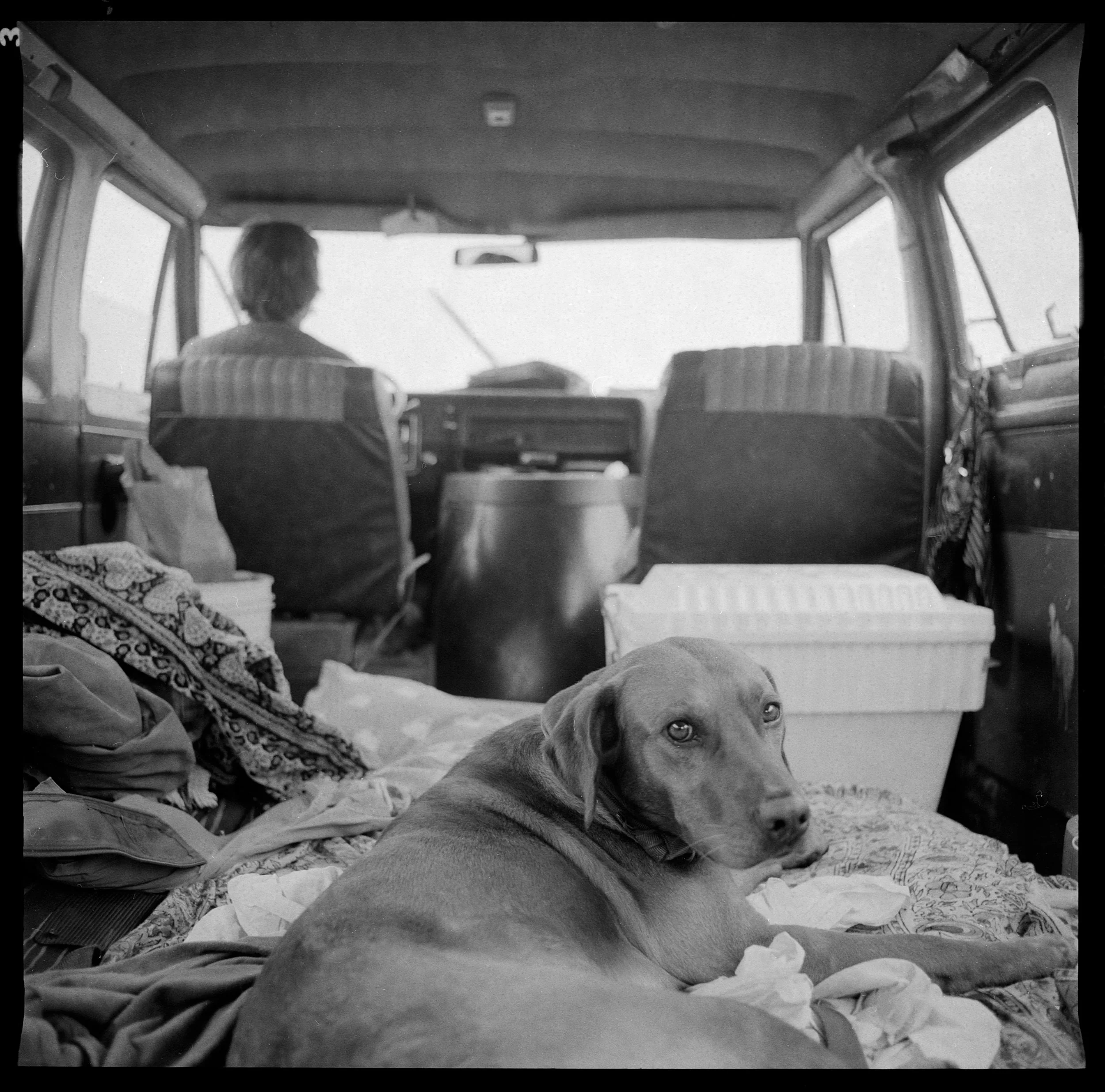 tobi (355).jpg