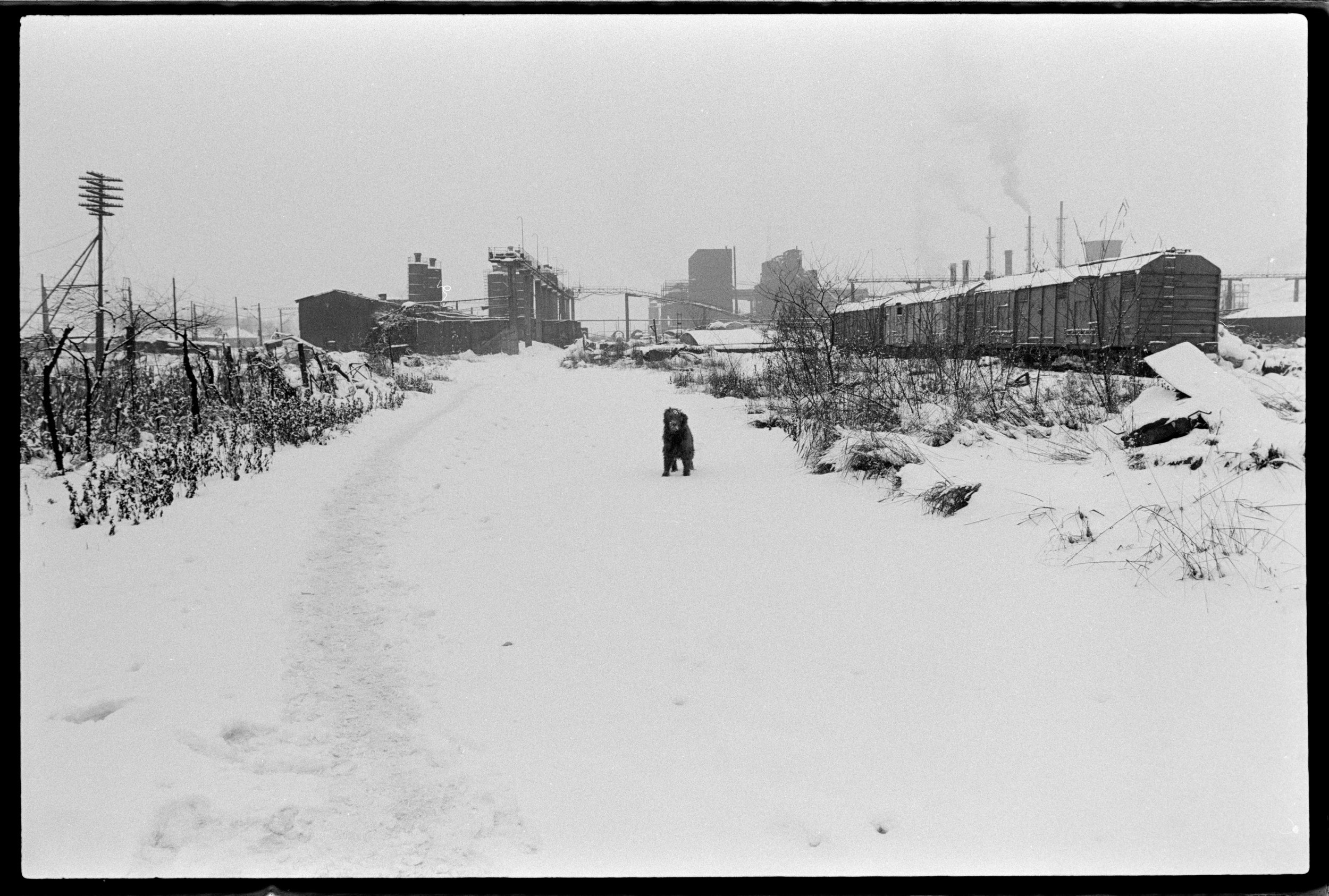 CPWNov 18 2025 36.jpg