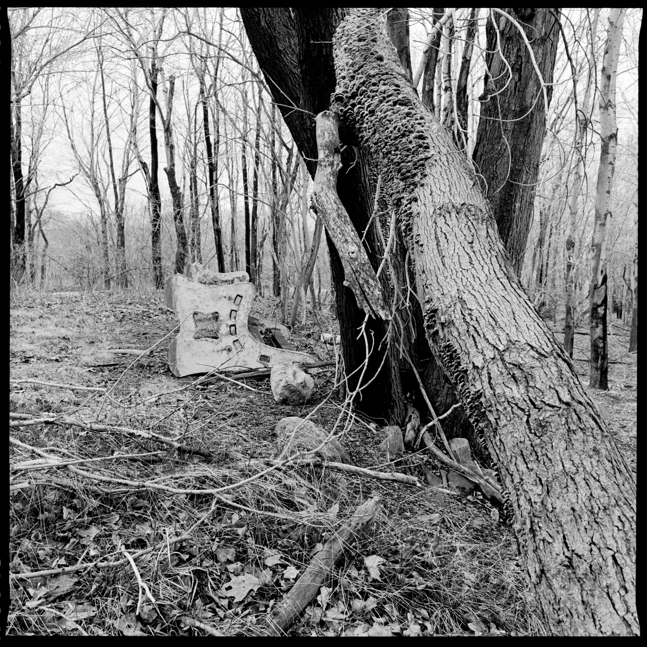 minnewaska8 copy.jpeg