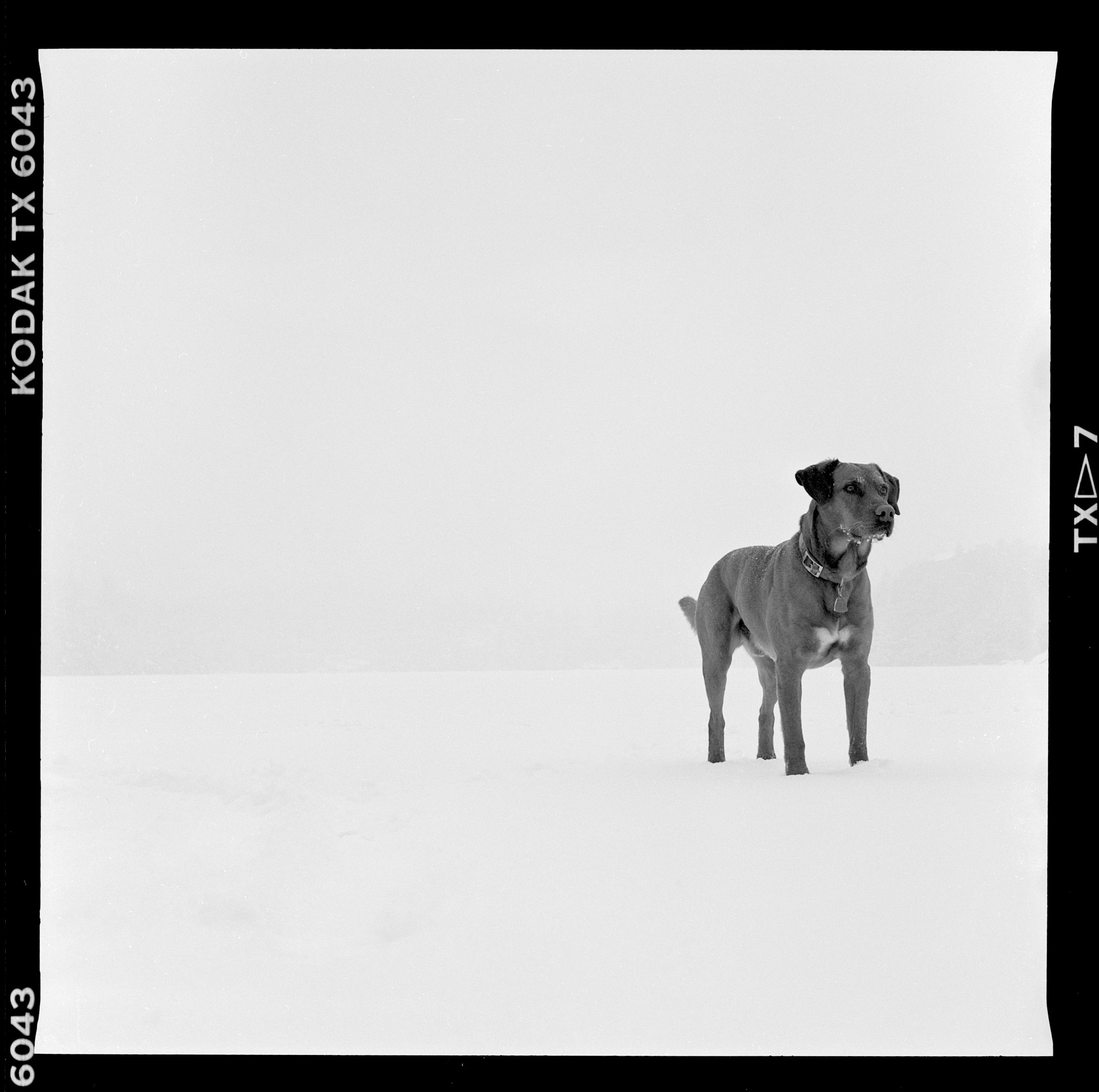 Tobi on frozen Lake Minnewaska. 1987