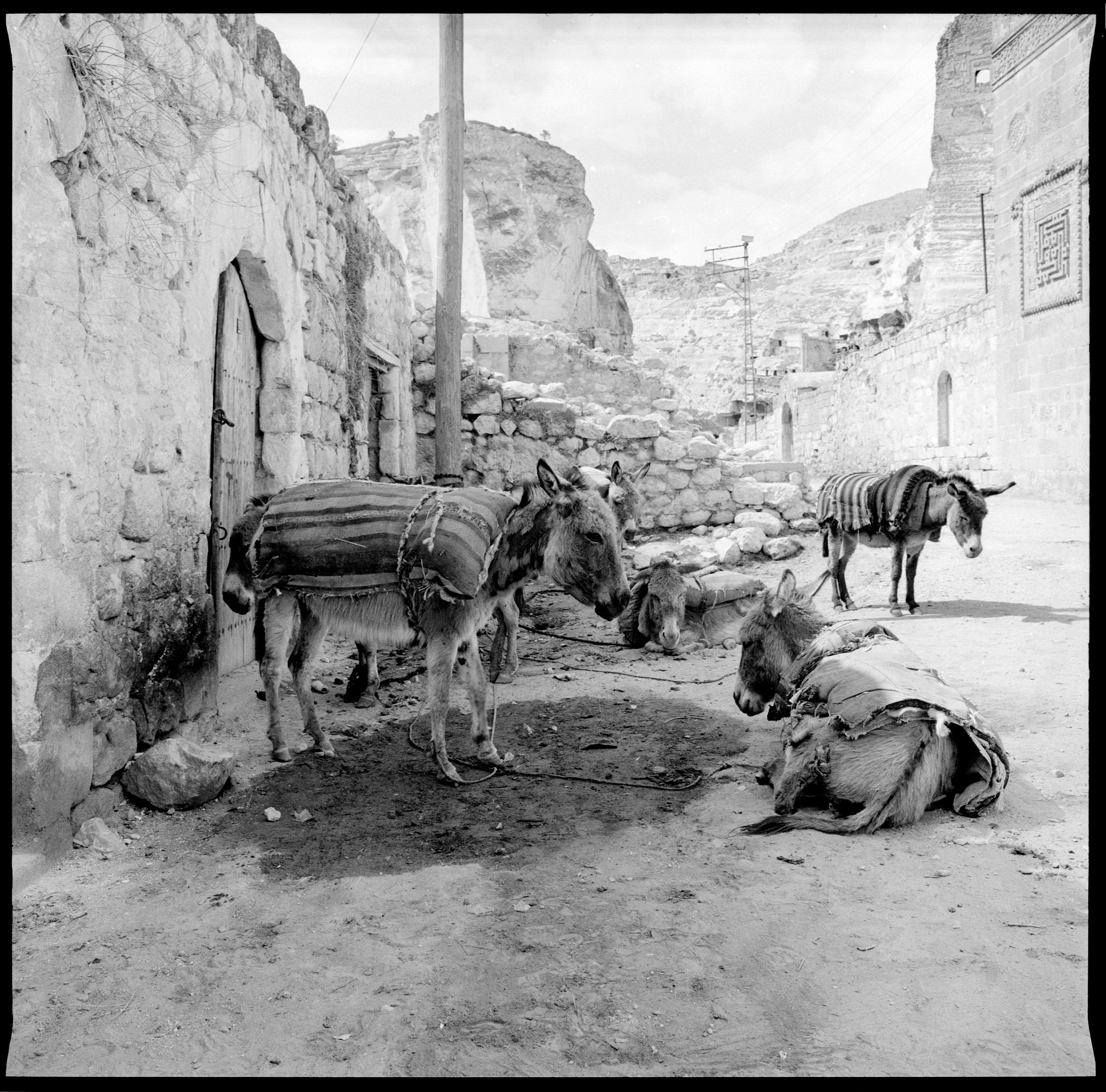 kurdishgirl (8).jpg
