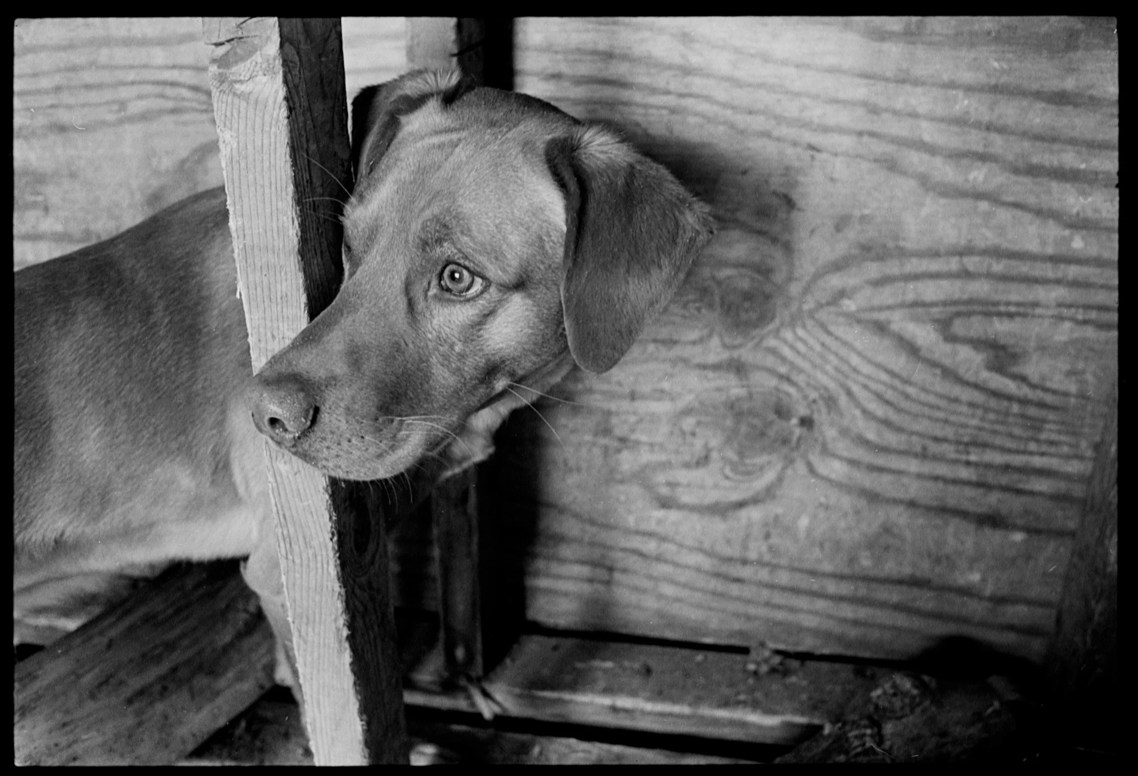tobi (12).jpg
