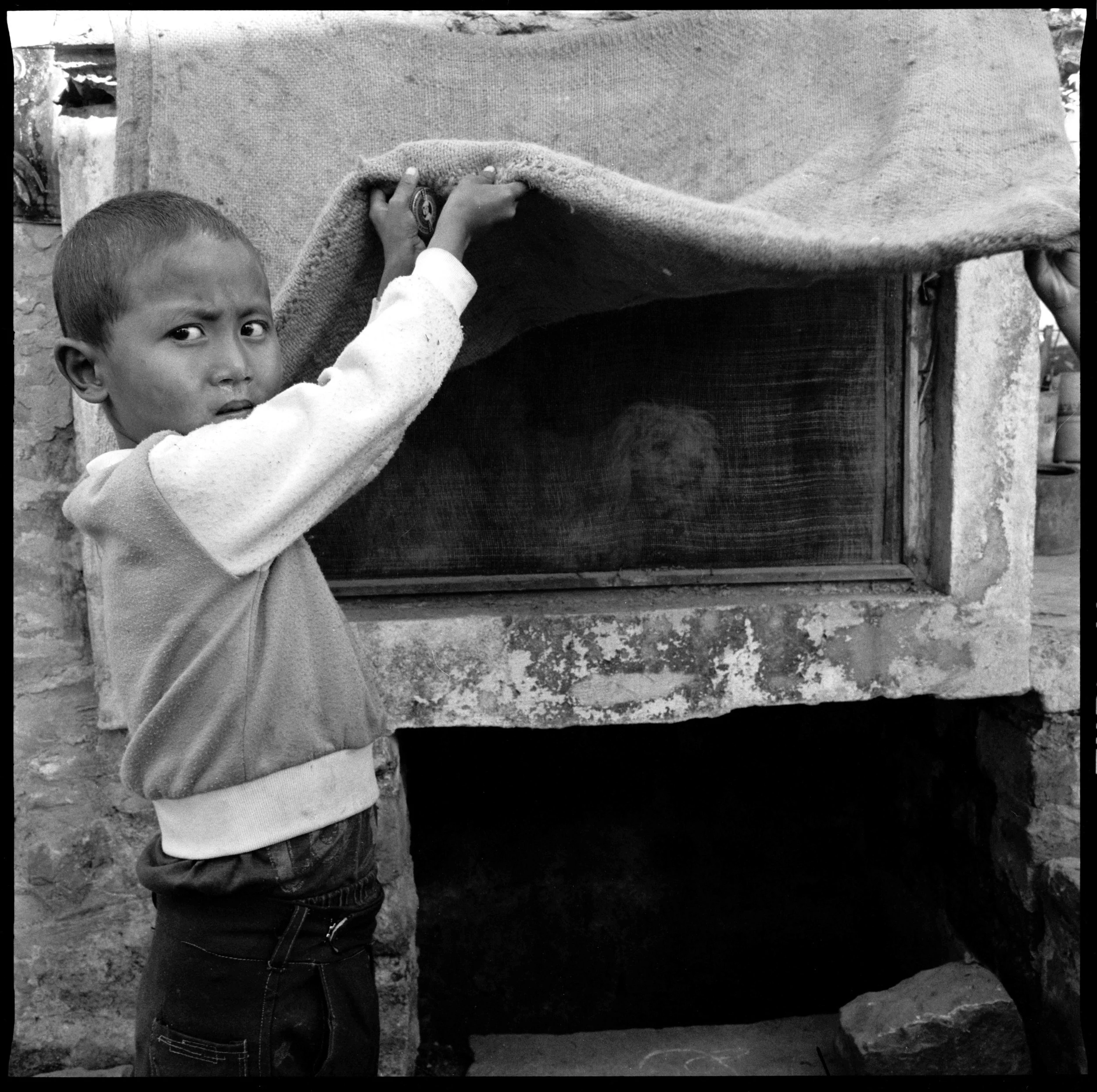 boy and llasa apso.jpg