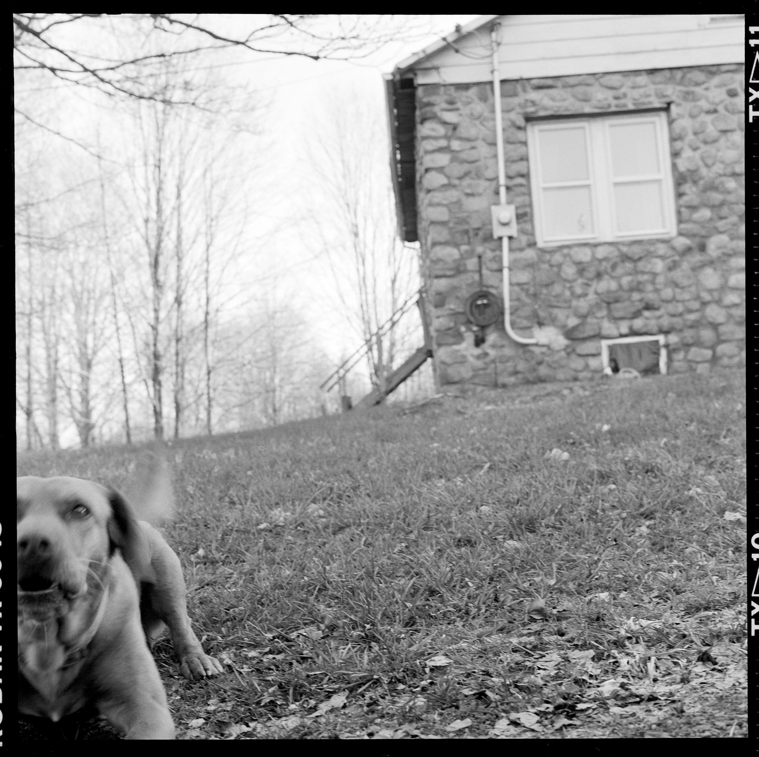 tobi (49).jpg