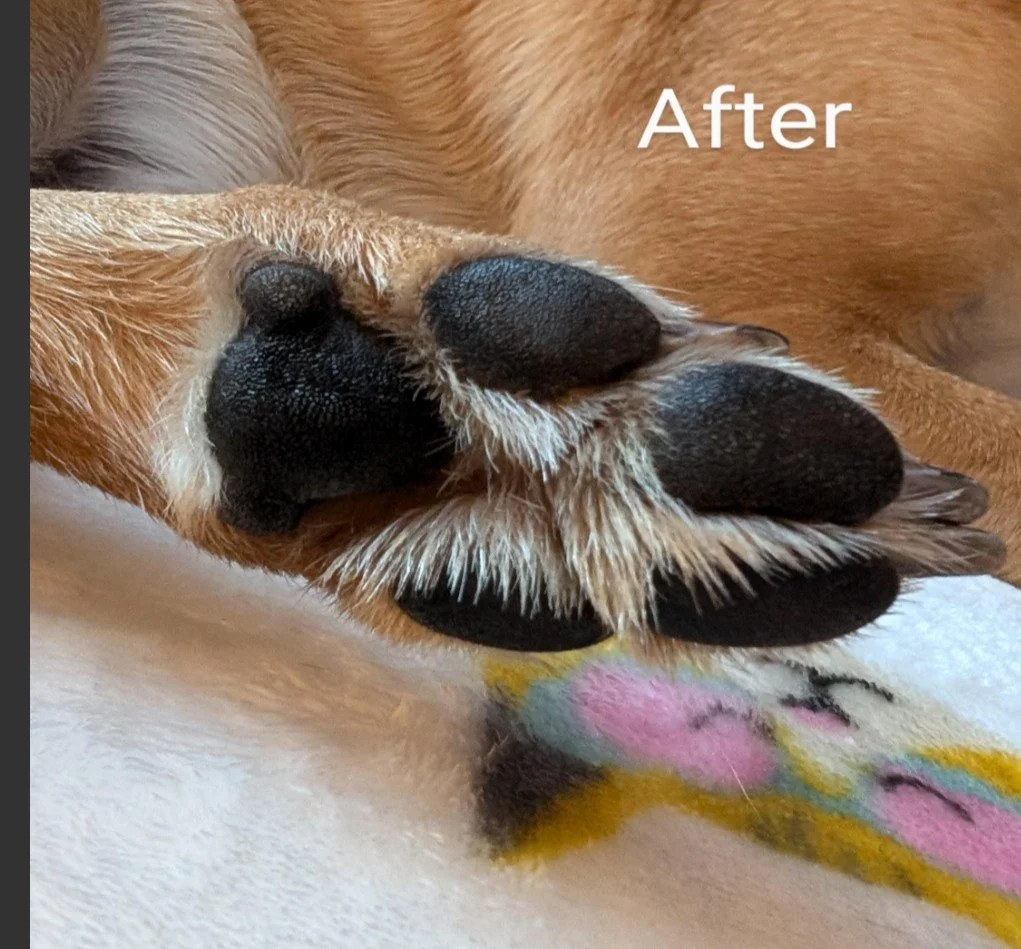 paw balm after.png