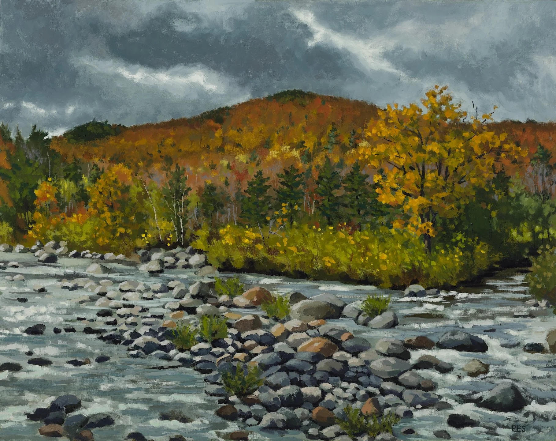 Bigelow Beauty web.jpg