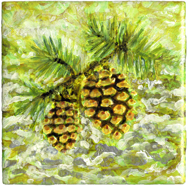 Pine-Cones.png