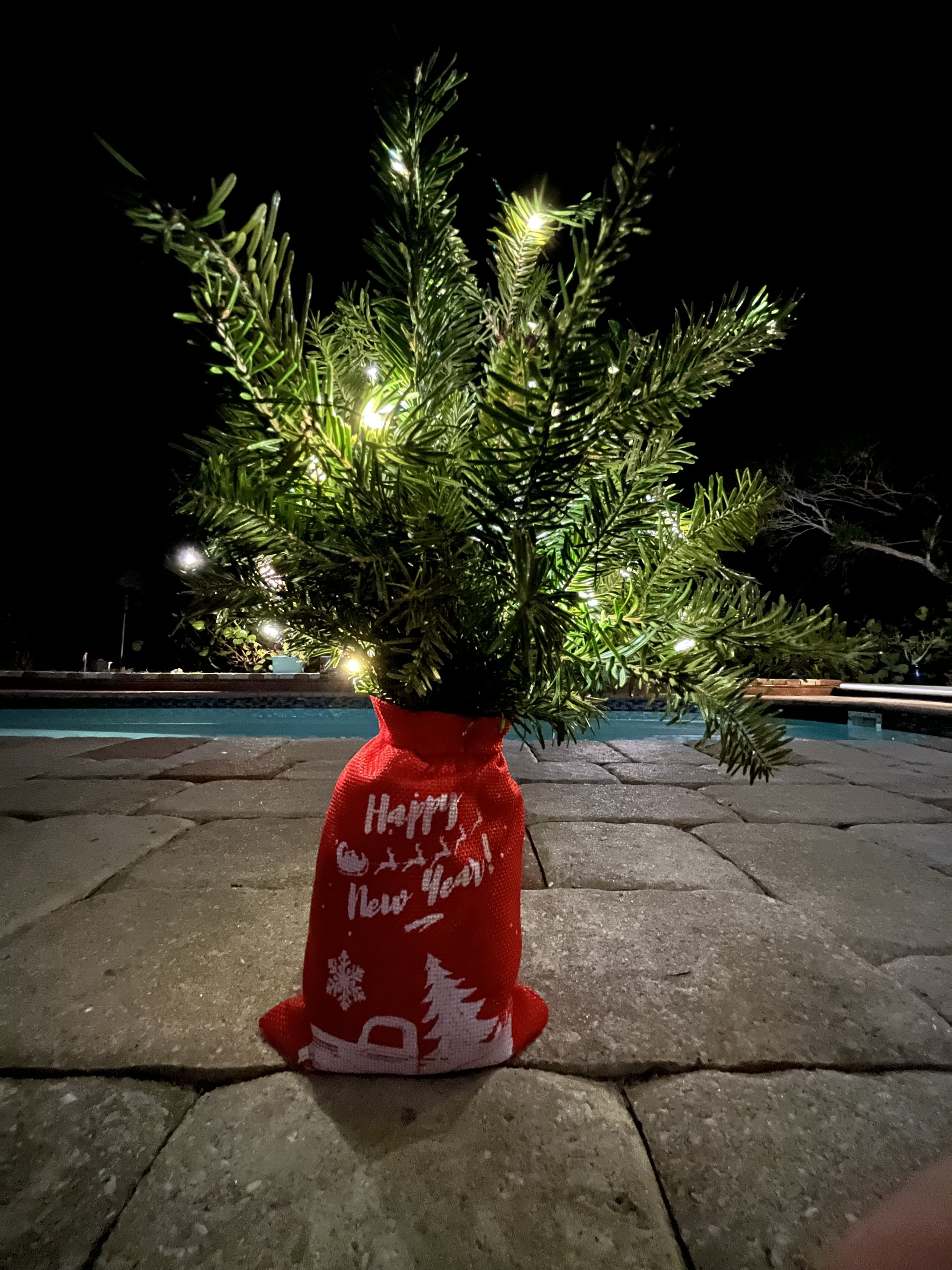 Christmas-In-A-Bag with lights